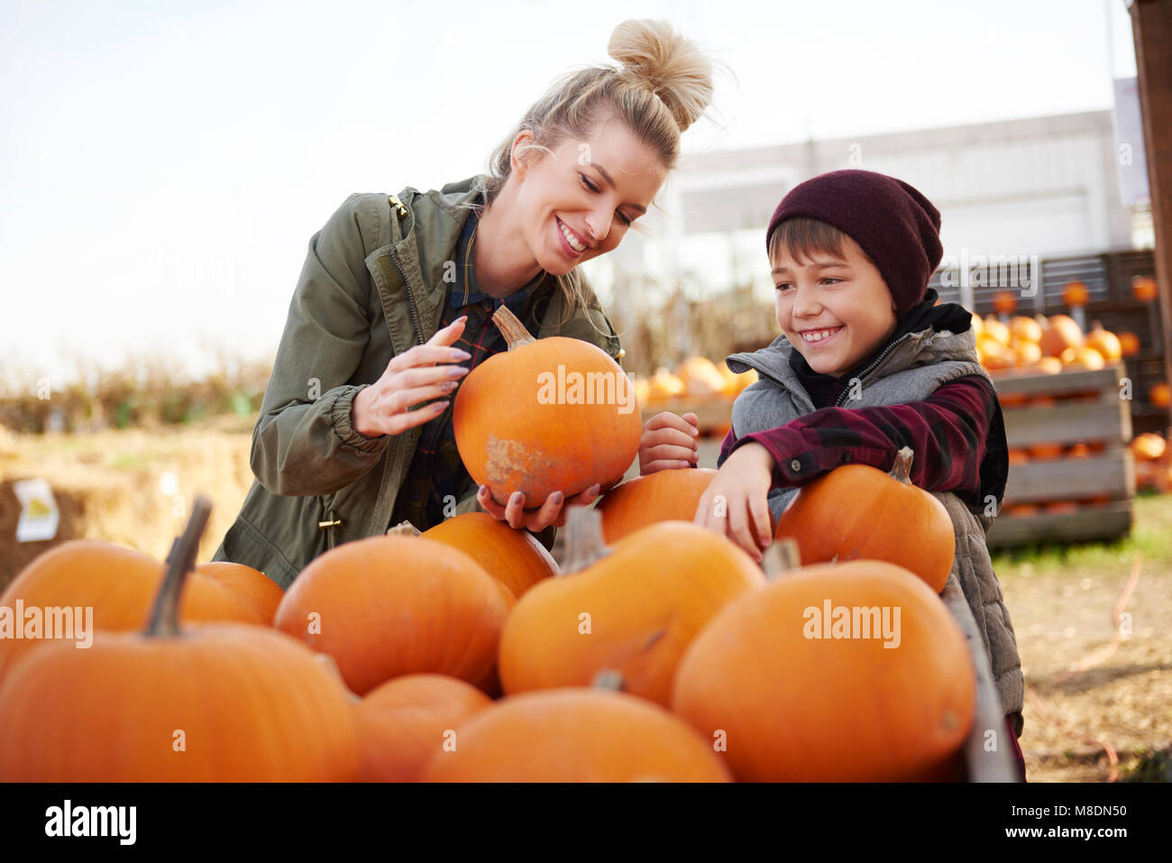 Young woman and boy selecting pumpkins in pumpkin patch field Stock Photo