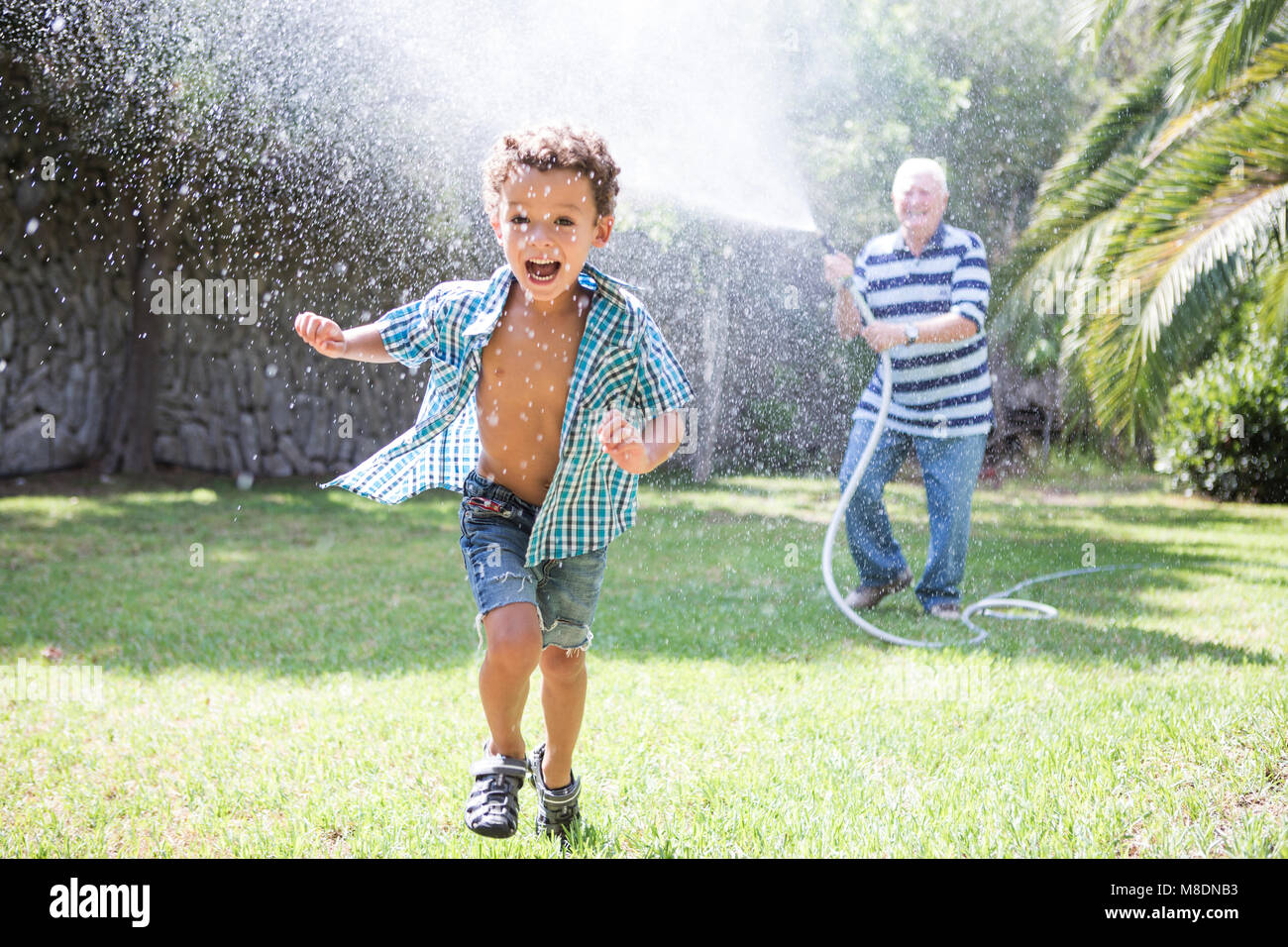 Boy running away from grandfather spraying hosepipe in garden Stock Photo
