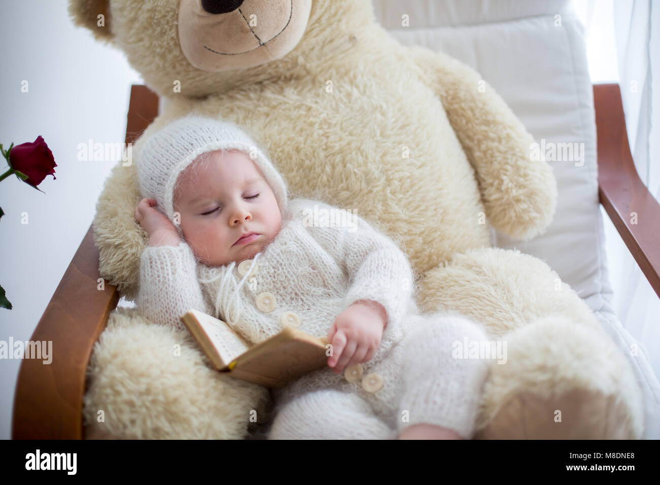 big teddy bear for baby boy