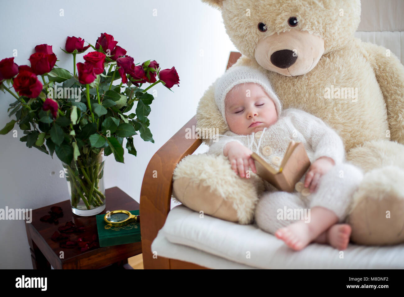 giant teddy bear for baby