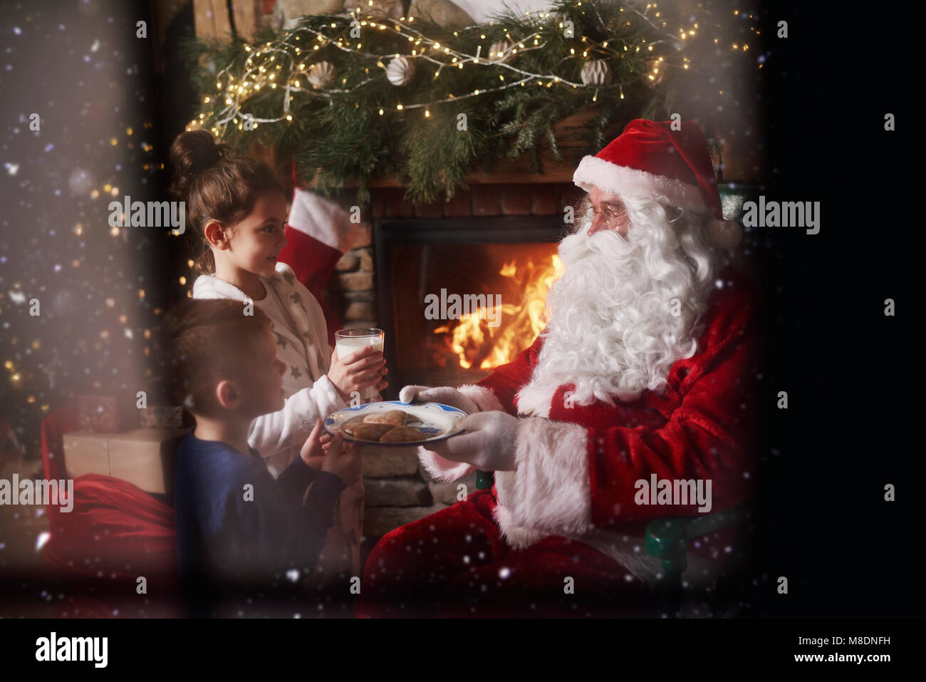 Young girl and boy giving milk and cookies to Santa Stock Photo