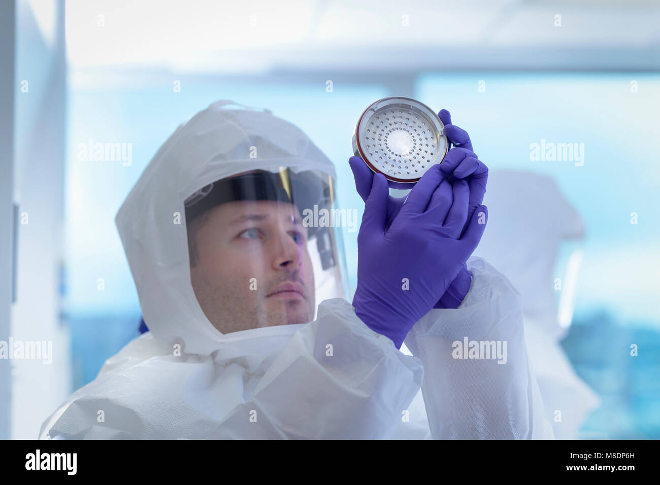 Scientist in protective wear inspecting filter in laboratory Stock Photo