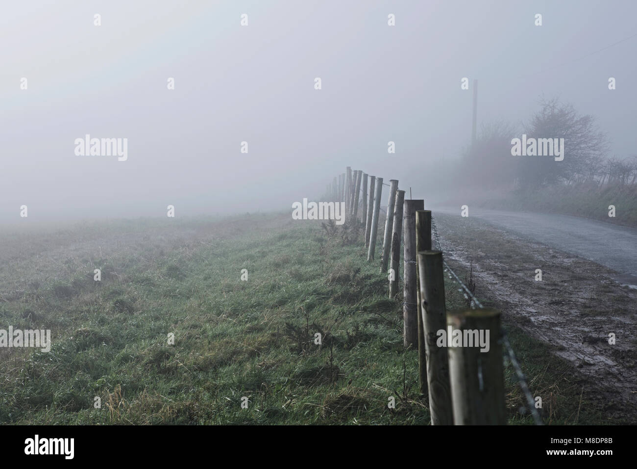 Fence along roadside in rural setting, with mist, Houghton-le-Spring, Sunderland, UK Stock Photo