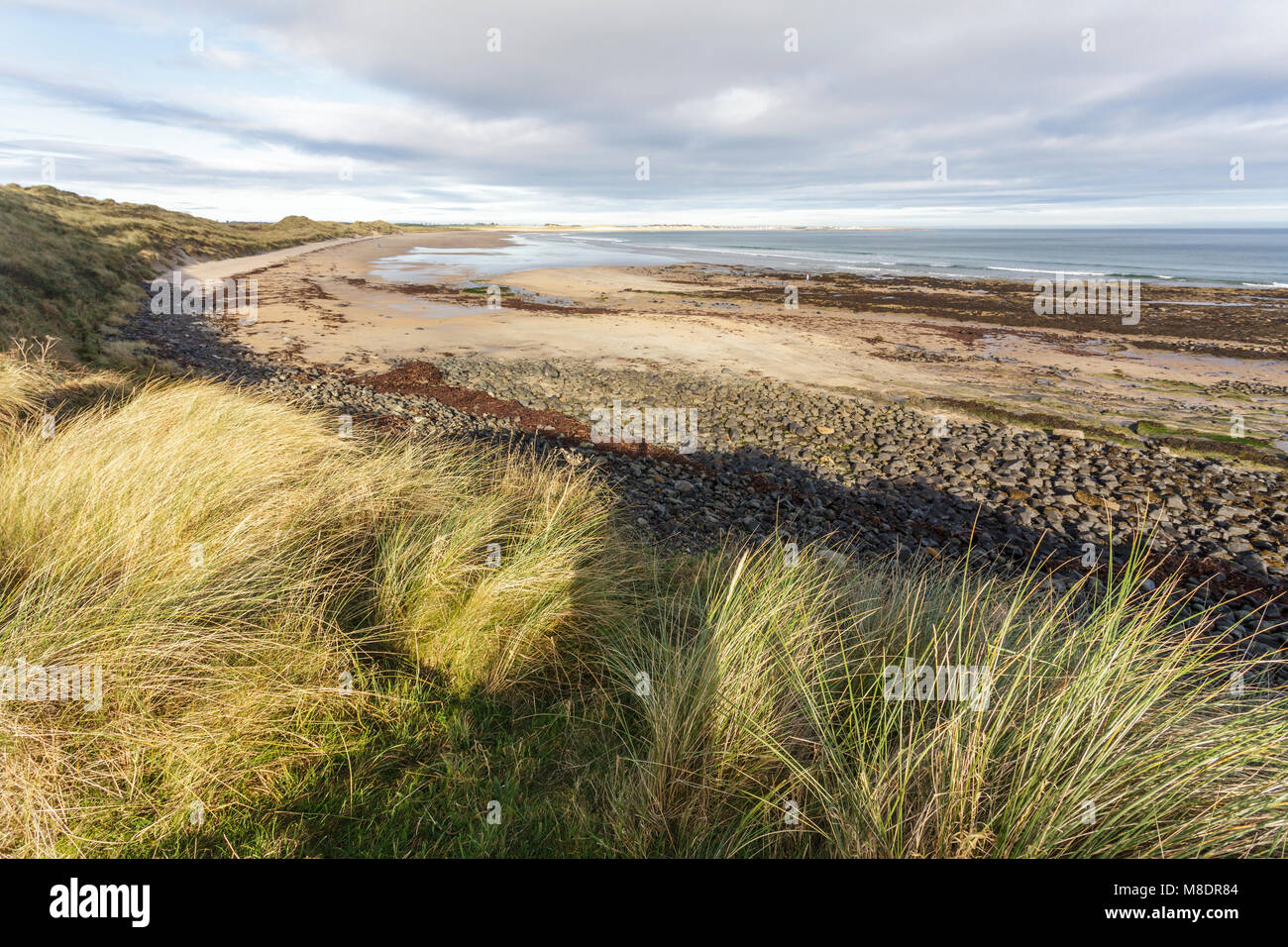 Beadnell Bay, Northumberland, from St Oswald's Way coastal path. Stock Photo