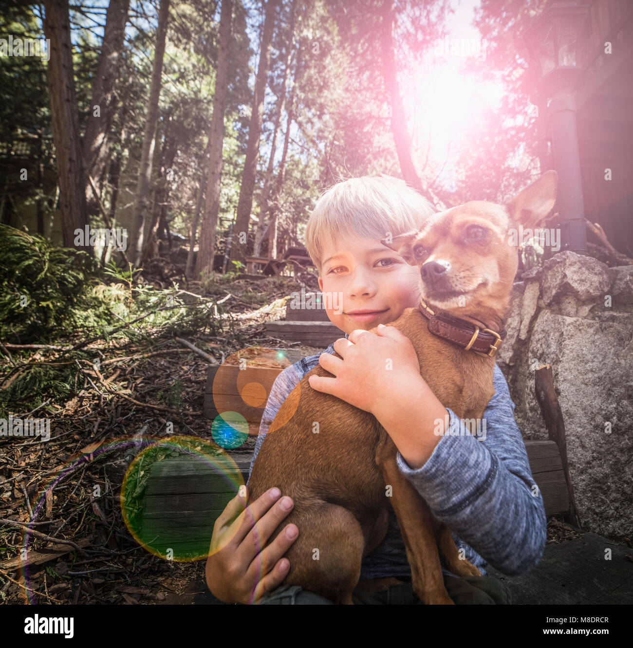 Boy carrying dog in woods Stock Photo