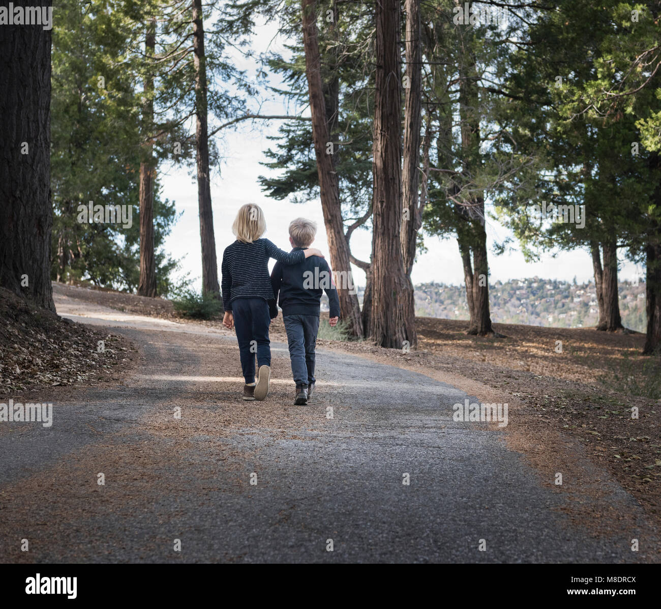 Boys walking on road through woods, Lake Arrowhead, California, USA Stock Photo