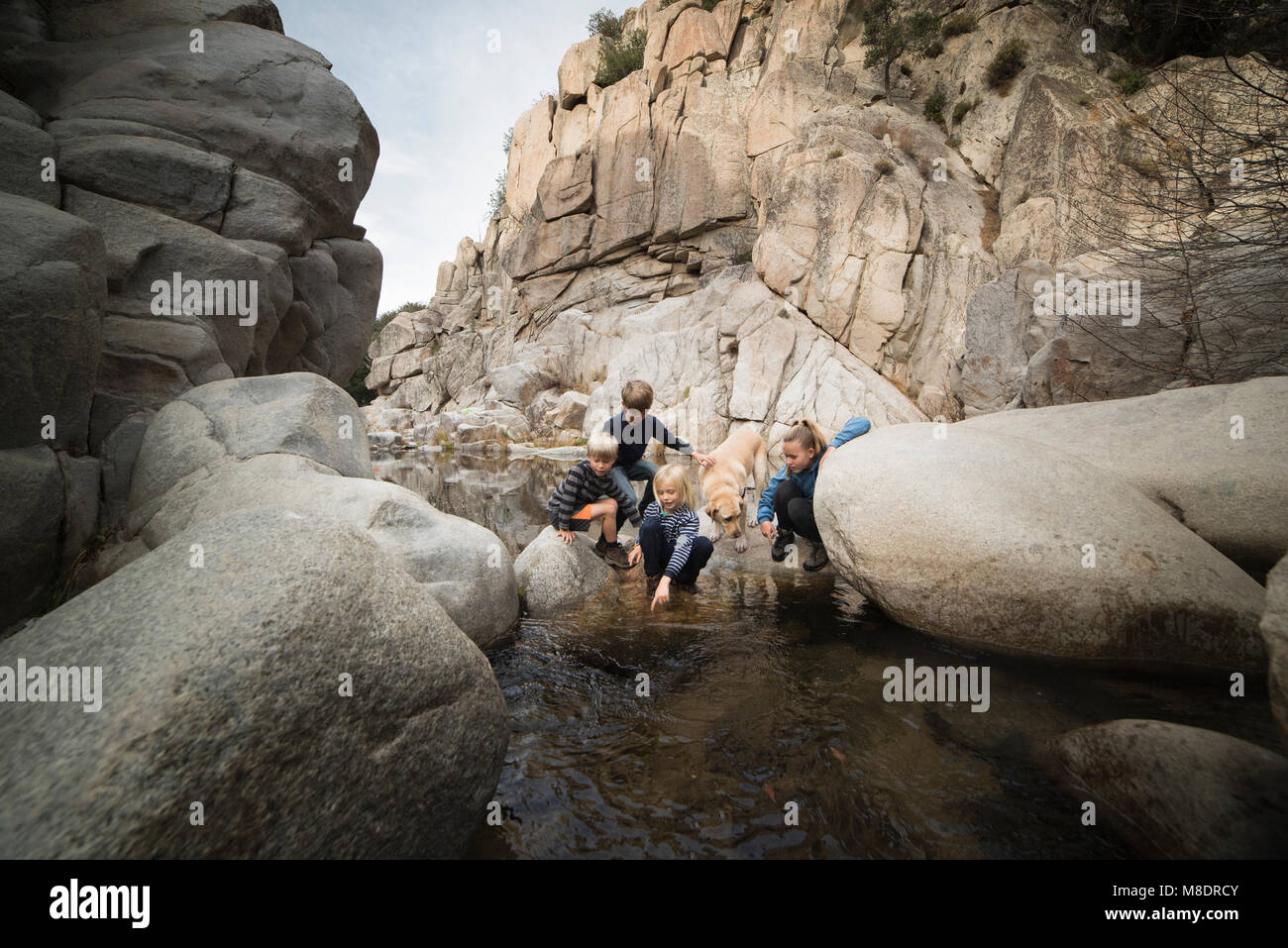Children playing on rocks in river, Lake Arrowhead, California, USA Stock Photo
