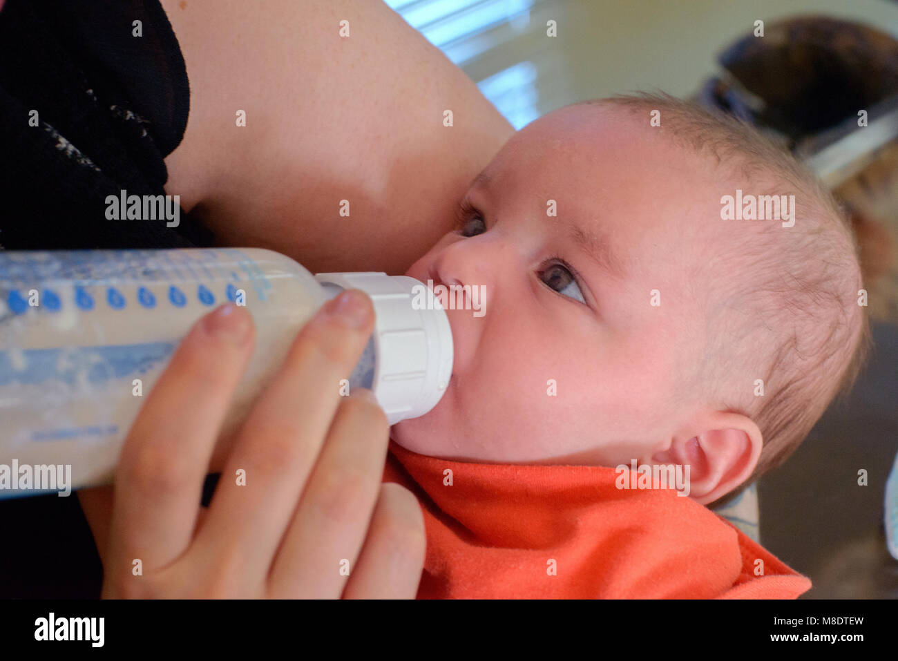 Woman feeding baby boy bottle of milk Stock Photo
