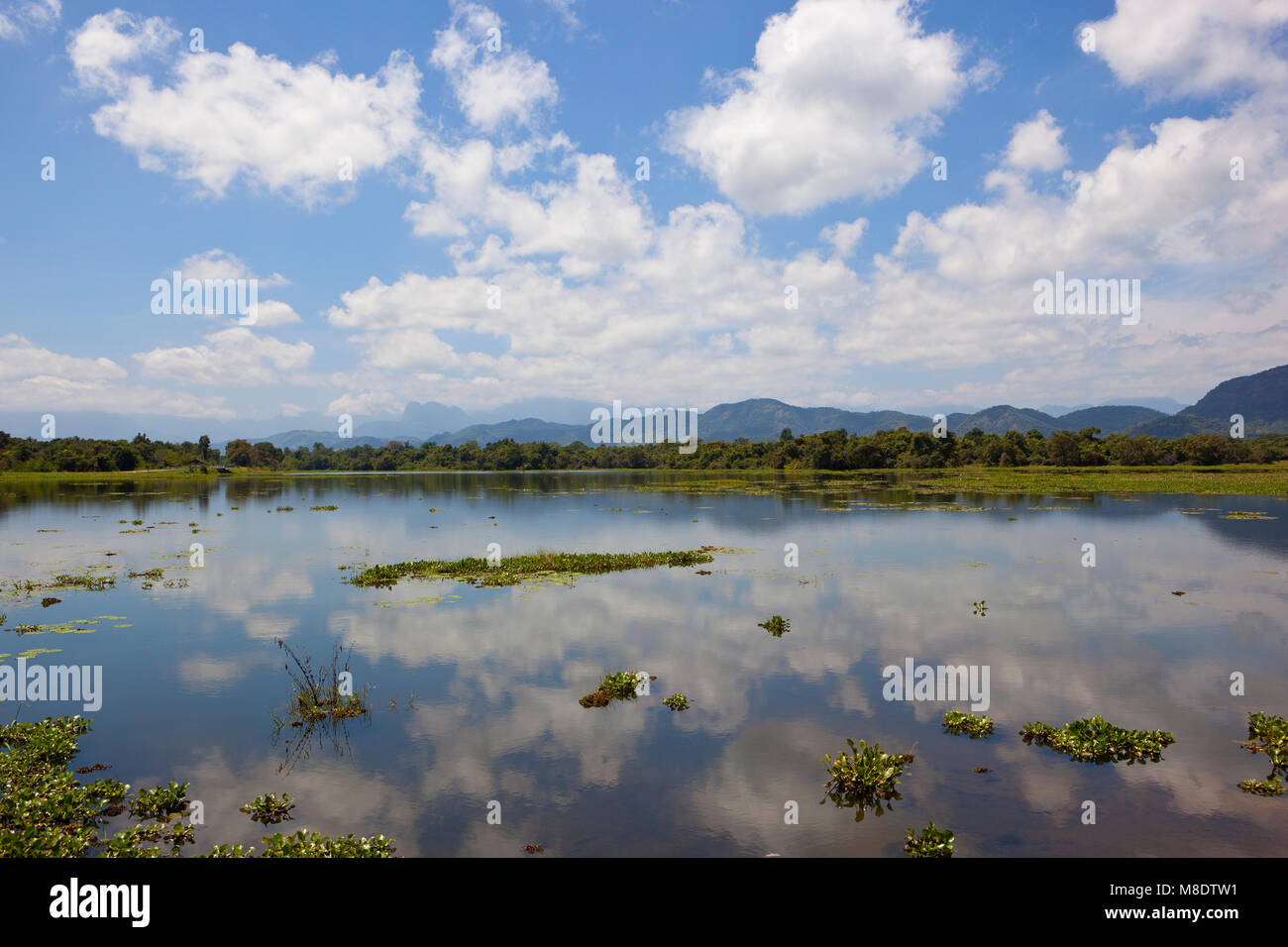 beautiful mirror lake with woodland and mountains in wasgamuwa national park under a blue sky with fluffy white clouds in sri lanka Stock Photo