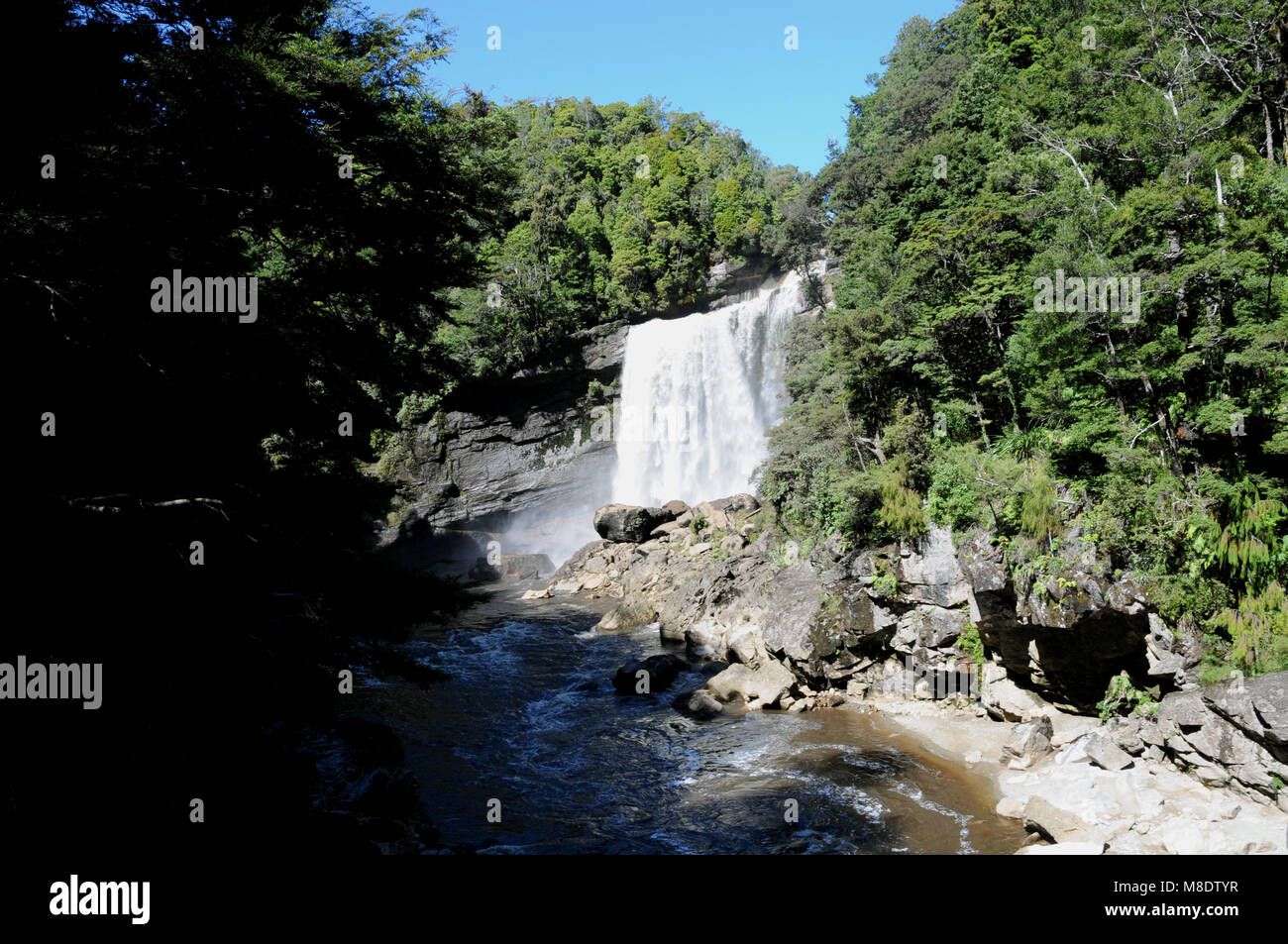 Mangatini Falls (Summer) on the Ngakawau River Gorge. The falls can be best viewed from the Charming Creek Walkway along the beautiful Ngakawau Gorge. Stock Photo