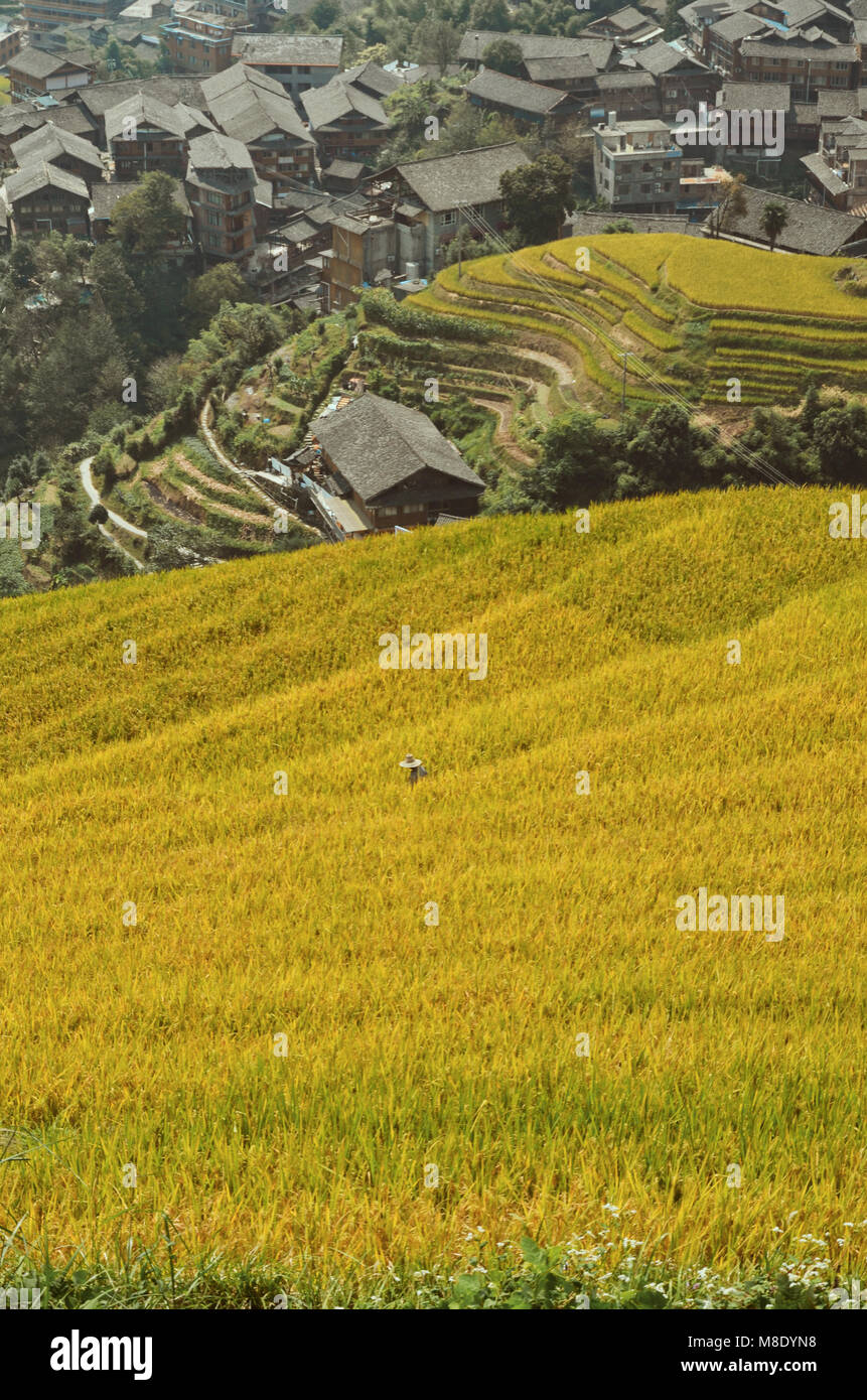 Longshen Pingan China rice terraces Stock Photo
