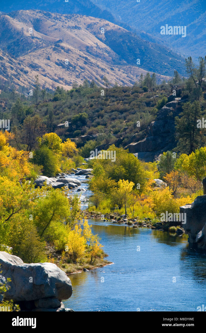 Sequoia river hi-res stock photography and images - Alamy