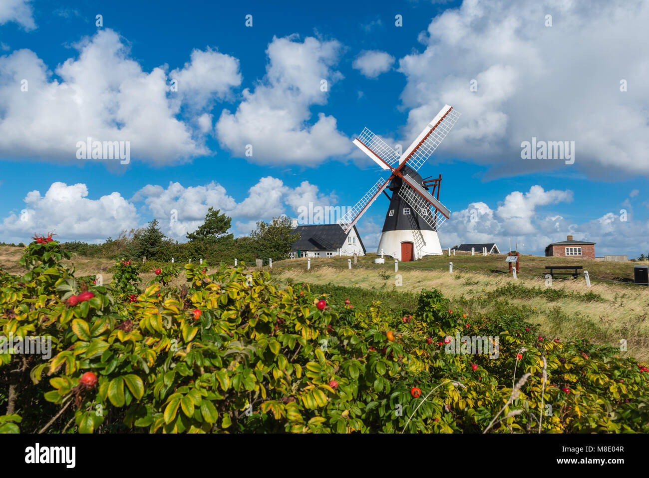 Historic and restored windmill on the North Sea island of Mandø, UNESCO world natural heritage, Ribe, Jutland, Denmark Stock Photo