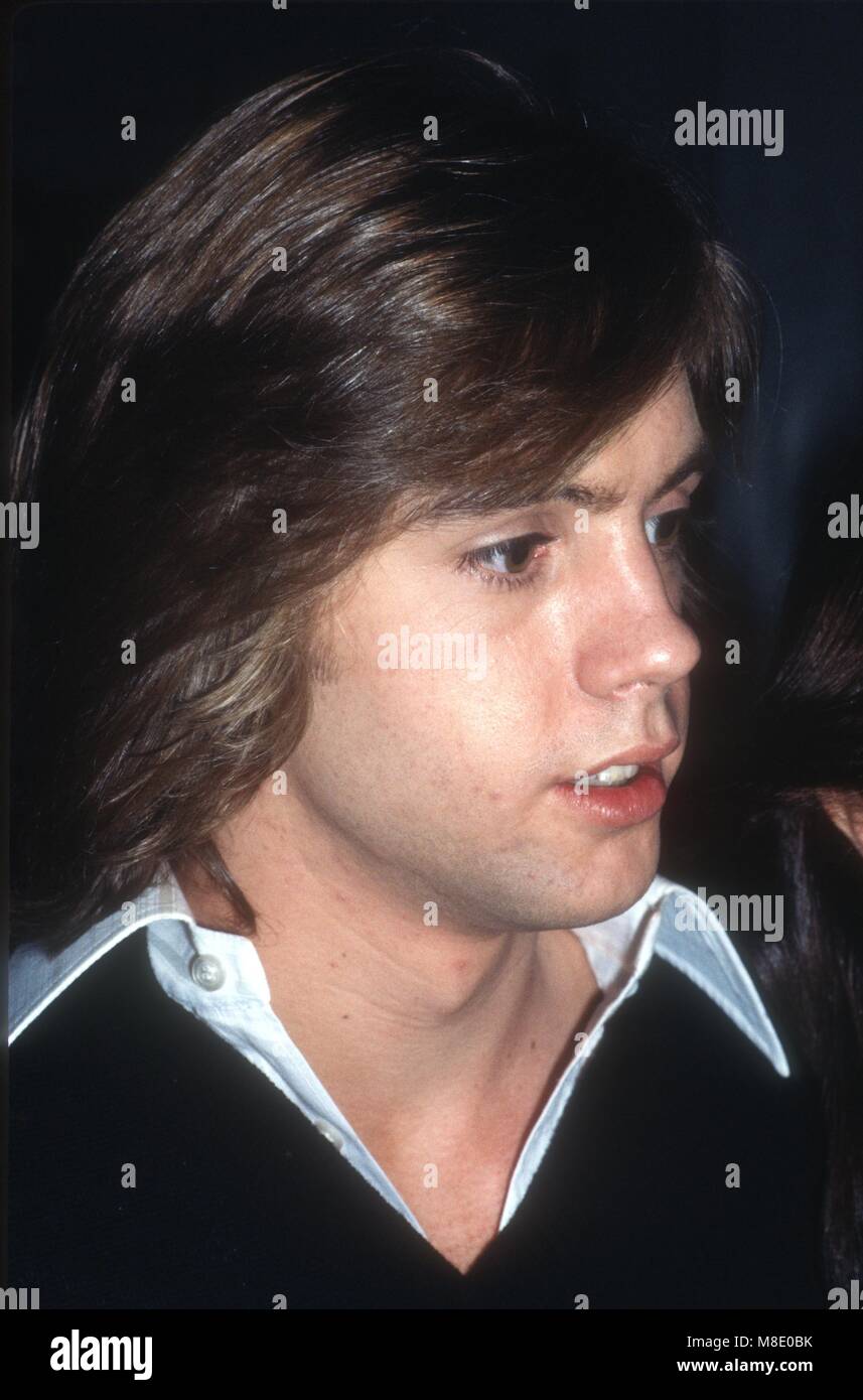Shaun cassidy hires stock photography and images Alamy