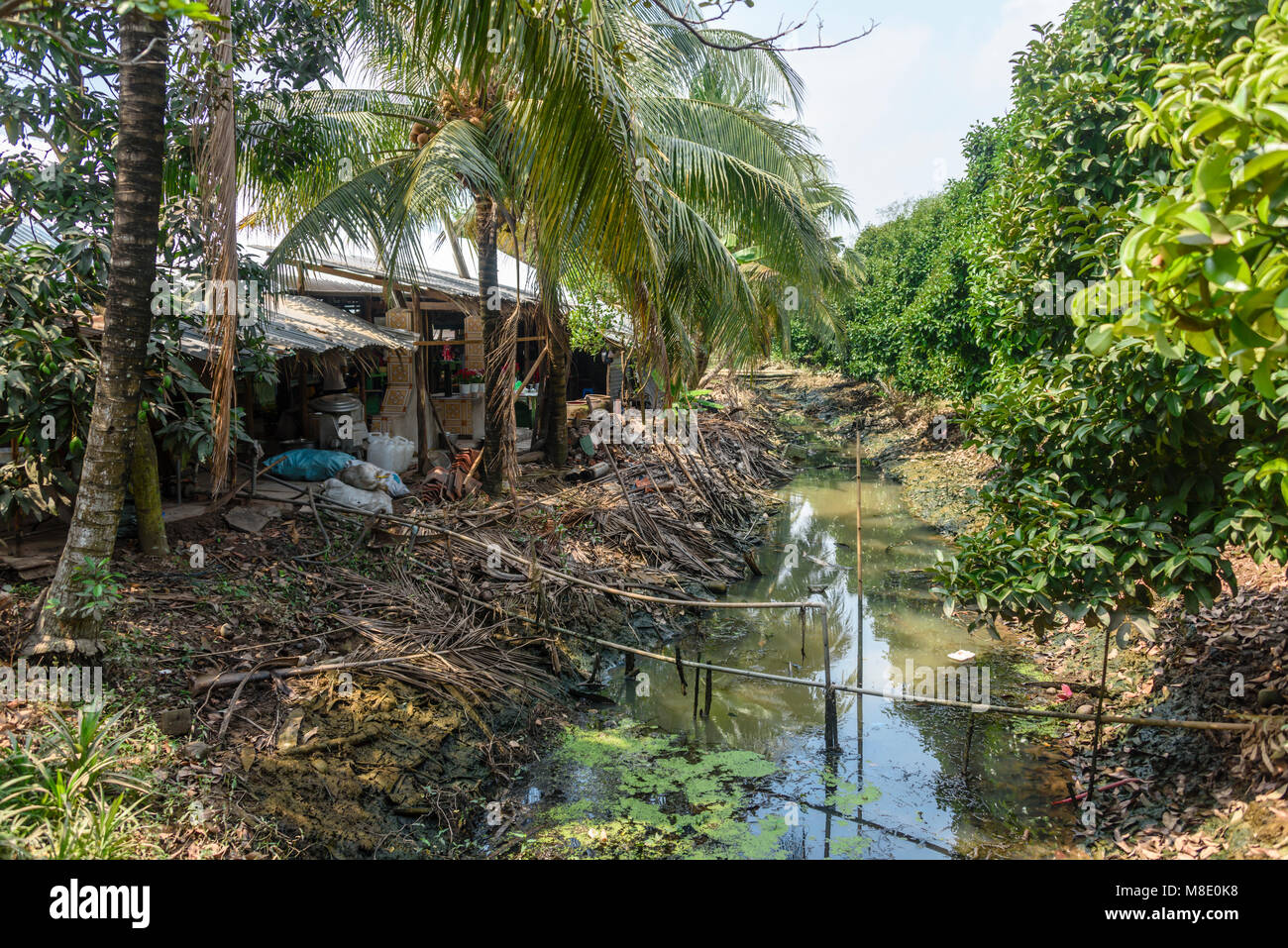 Irrigation stream running at the edge of a jungle village, Meekong Delta, Vietnam Stock Photo