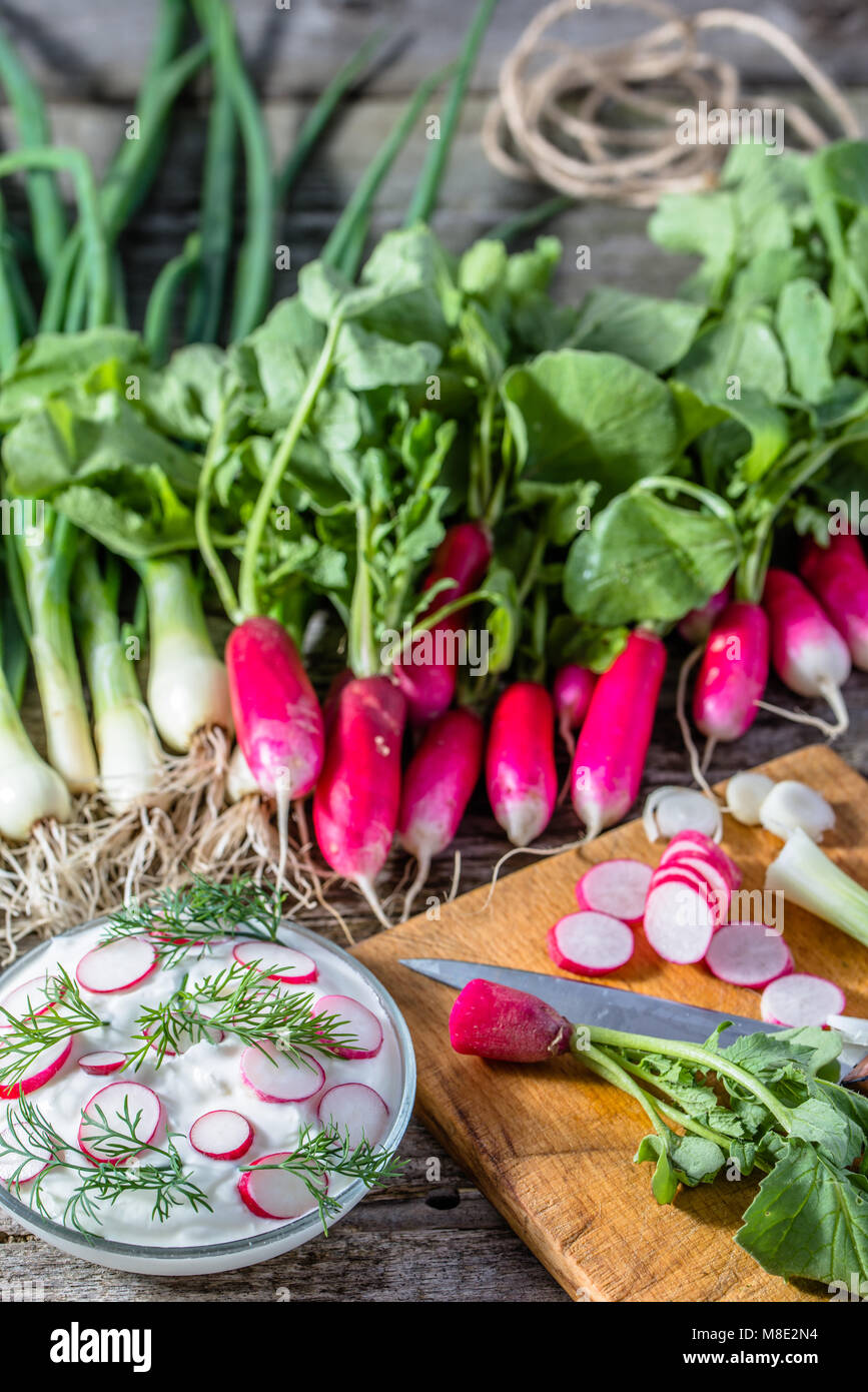 Dietary cottage cheese with radish, vegetarian diet concept Stock Photo