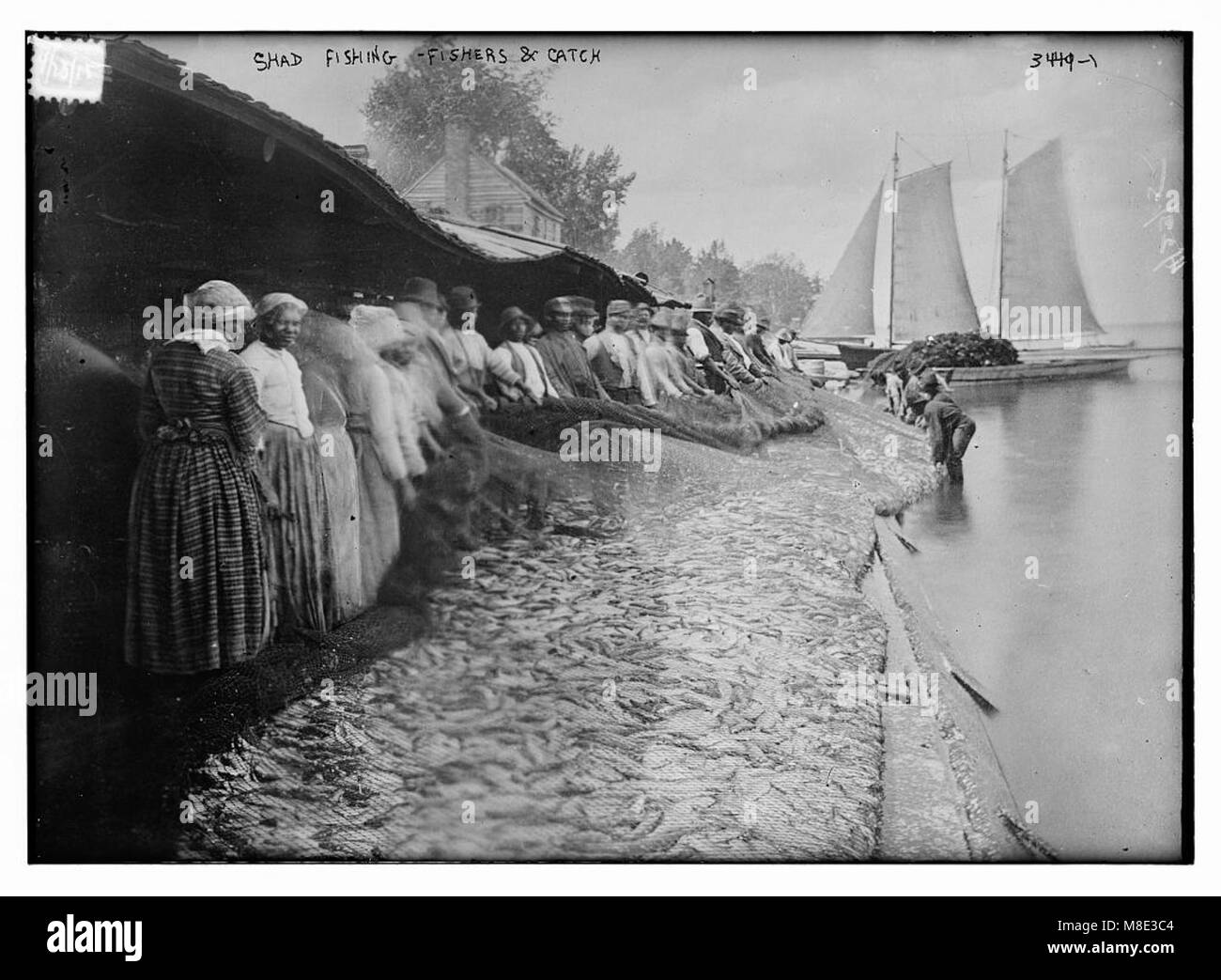 Catch of fish Black and White Stock Photos & Images - Alamy