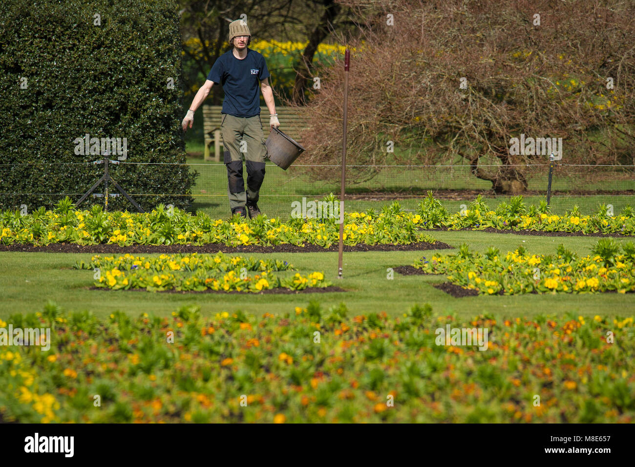 Work experience uk hires stock photography and images Alamy