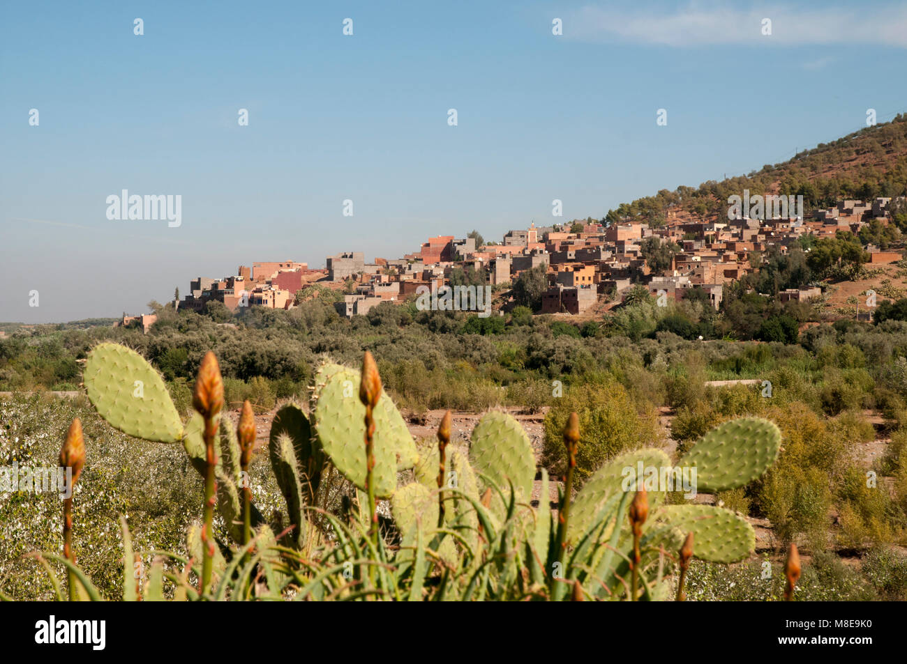 A hillside village at the foot of the Atlas mountains near Ourika, Morocco. Stock Photo