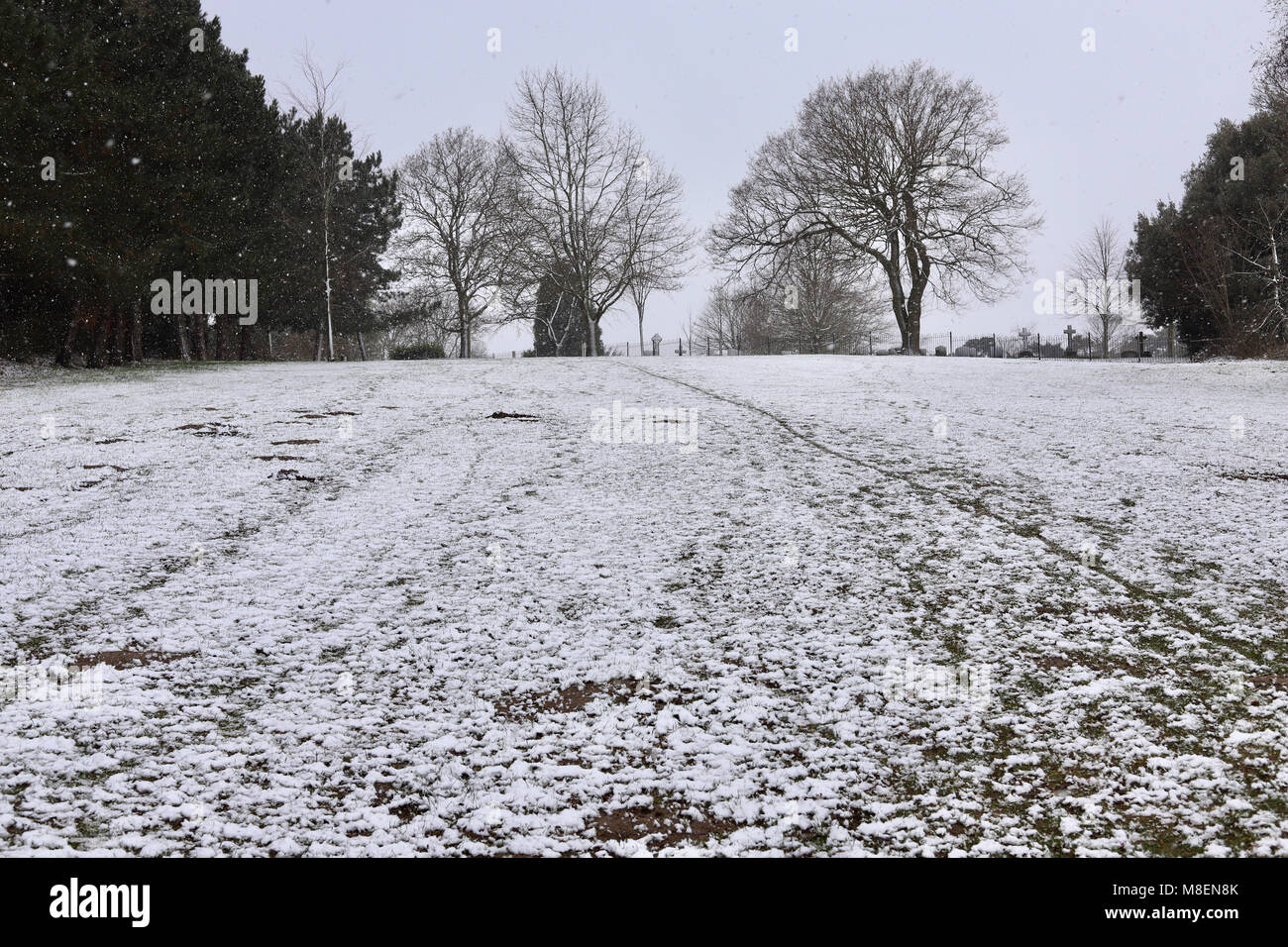 Uk Weather Snow And Cold This Morning On The Hill At Fen Meadow Woodbridge Suffolk Stock Photo Alamy