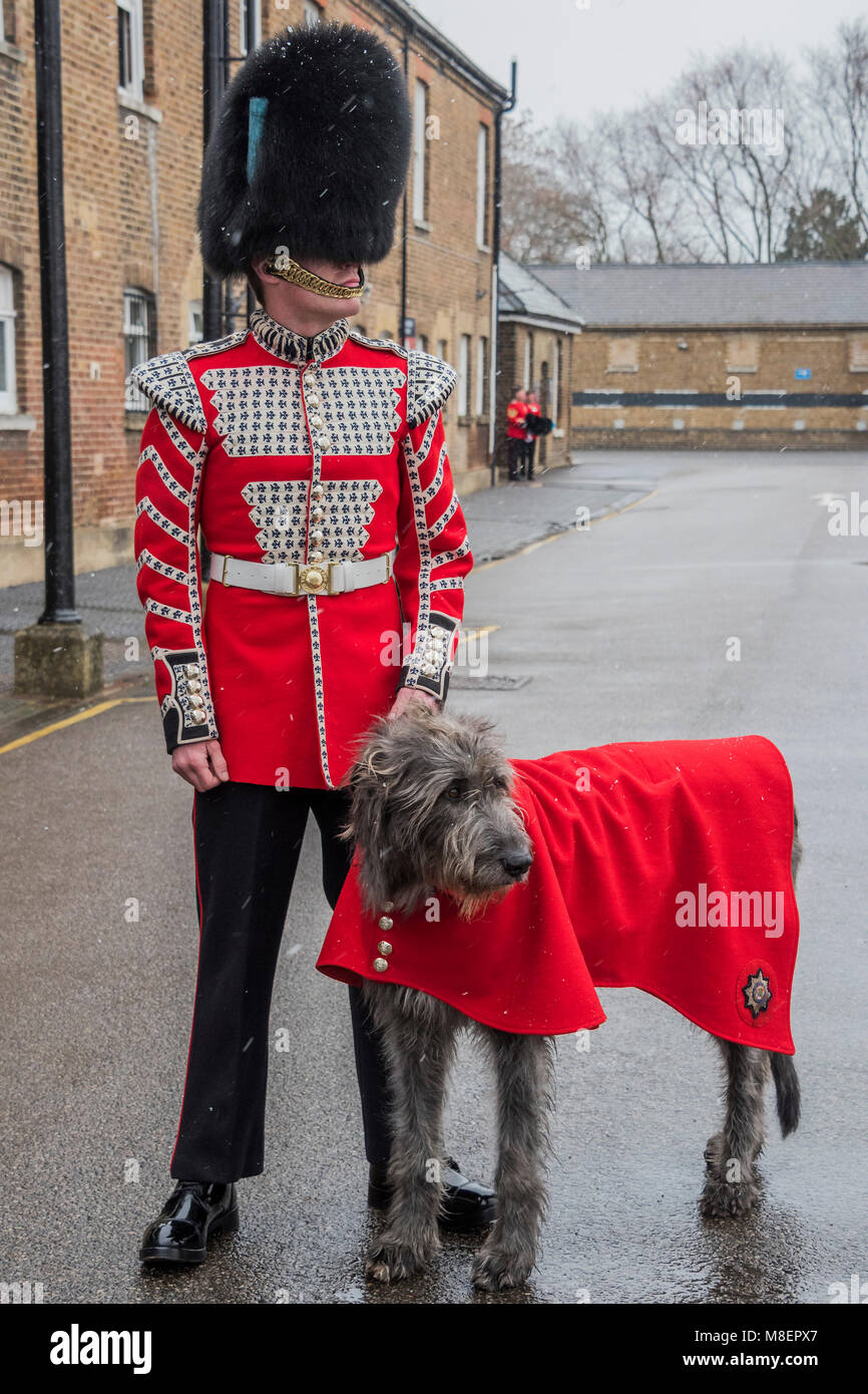 London, UK, 17 Mar 2018. Their mascot, the Irish Wolfhound Domhnal waits in light snow -  - The Duke of Cambridge, Colonel of the Irish Guards, accompanied by The Duchess of Cambridge, visited the 1st Battalion Irish Guards at their St. Patrick's Day Parade. Credit: Guy Bell/Alamy Live News Stock Photo