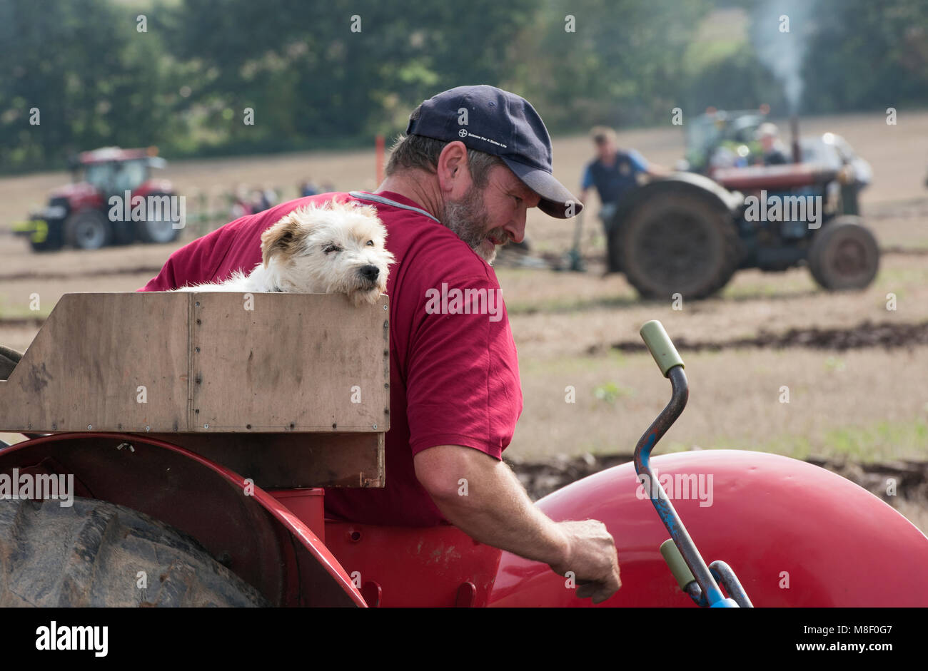 Merevale hires stock photography and images Alamy