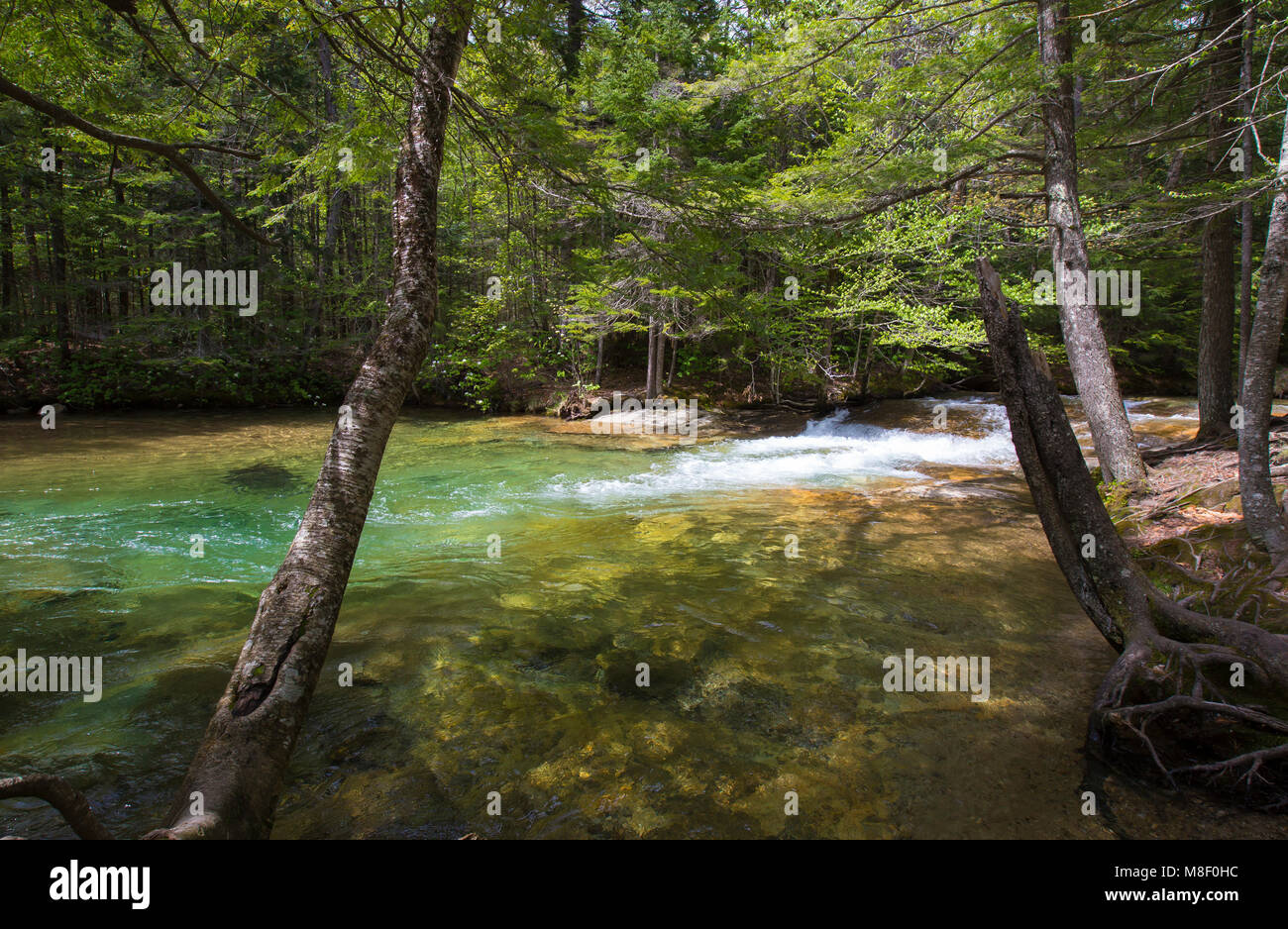 Flowing streams at The Basin in Franconia Notch State Park in Lincoln, New Hampshire on a sunny spring day. Stock Photo