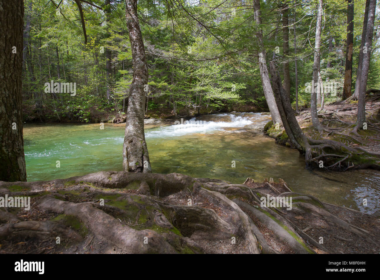 Flowing streams at The Basin in Franconia Notch State Park in Lincoln, New Hampshire on a sunny spring day. Stock Photo