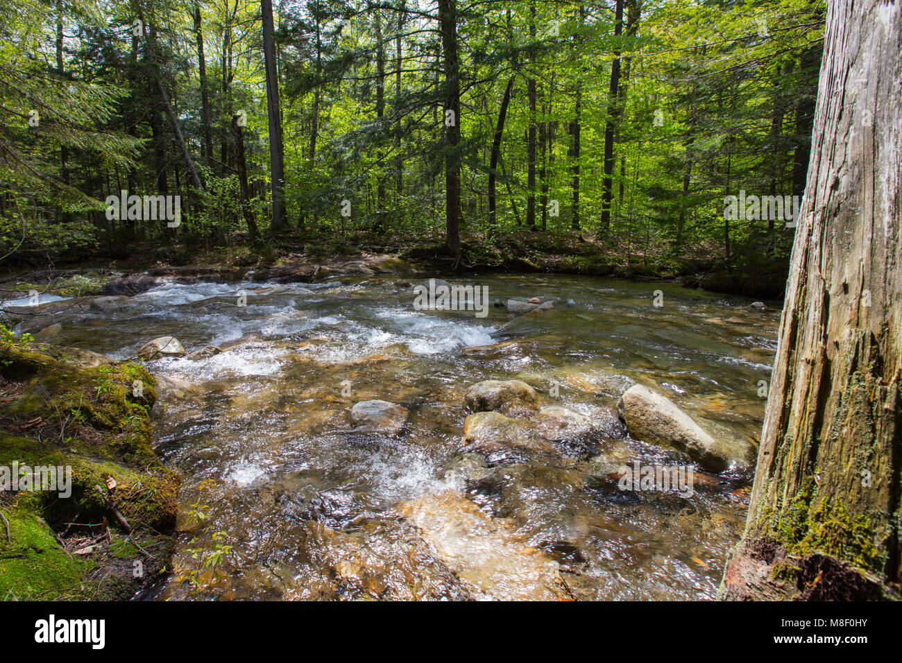 Flowing streams at The Basin in Franconia Notch State Park in Lincoln, New Hampshire on a sunny spring day. Stock Photo