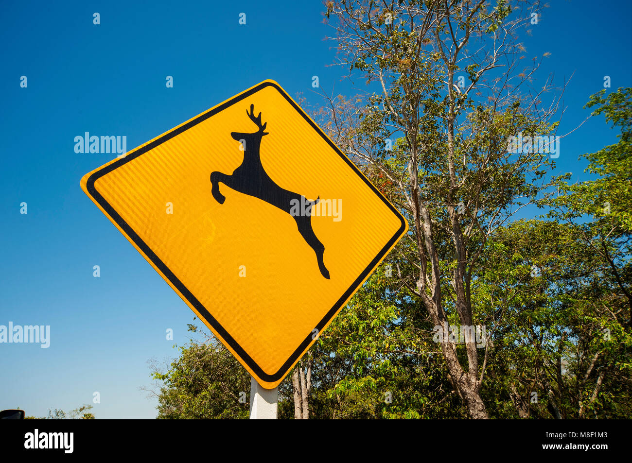Sign in a Mato Grosso road alerting drivers to drive carefully to avoid