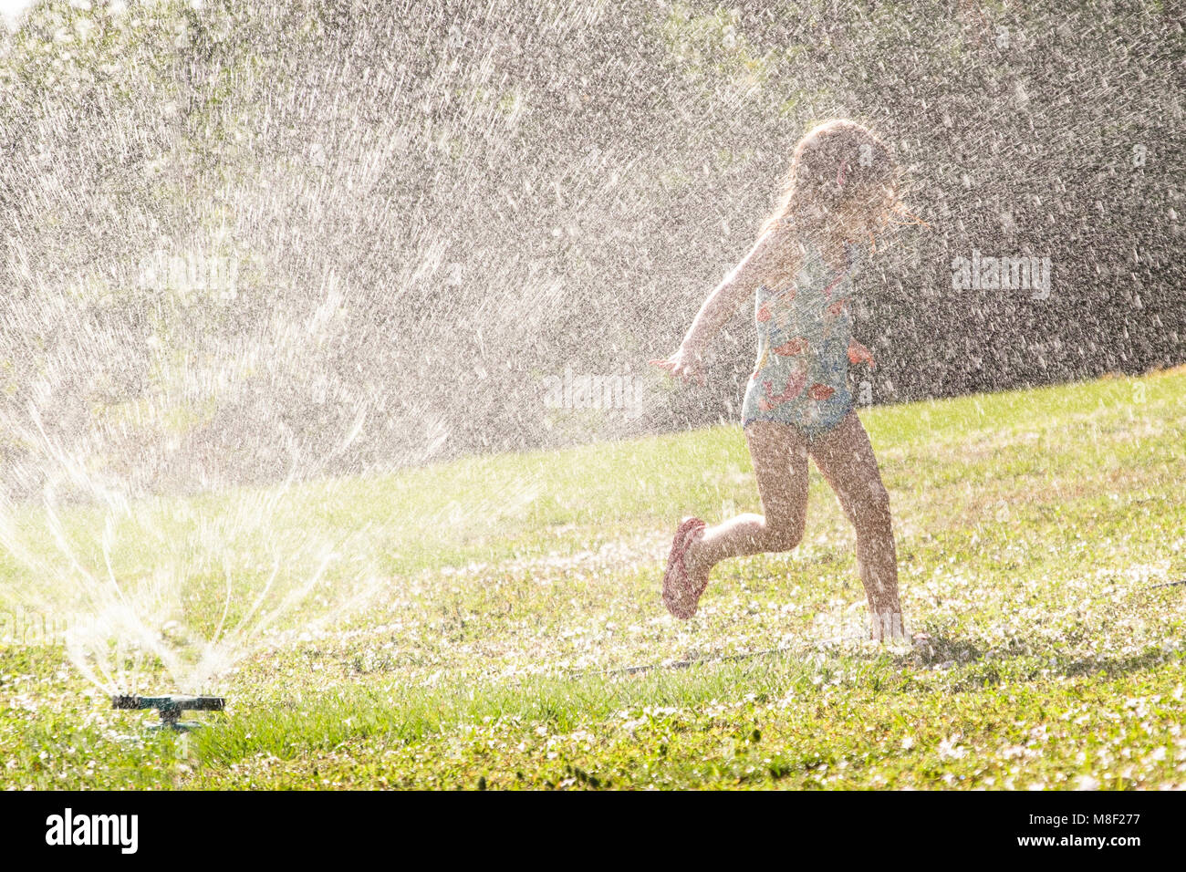 Girl (4-5) splashing in sprinkler water on lawn Stock Photo