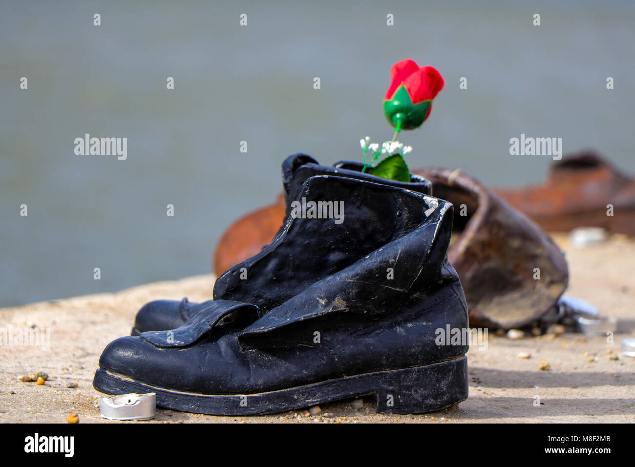 A solitary flower is left at the memorial sculpture 'The Shoes on the Danube Promenade', in remembrance of the Hungarian Jews who were executed there. Stock Photo