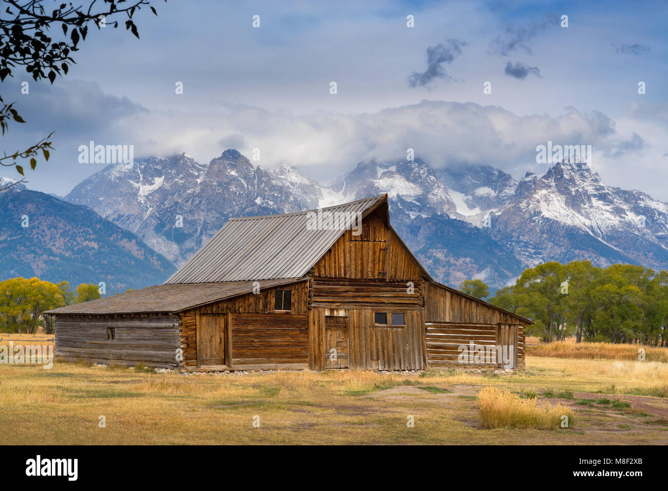 USA, Wyoming, Grand Teton National Park, Moulton Barn, Wooden barn in meadow Stock Photo