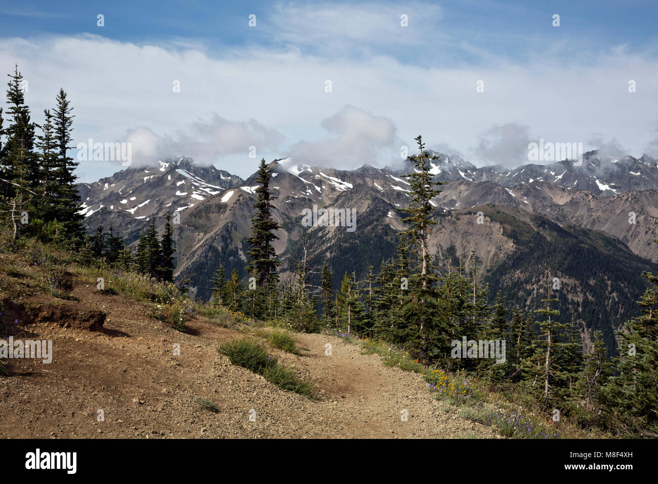 WA13889-00...WASHINGTON - View of the Olympics and the national park from Marmot Pass on the Big Quilcene Trail of Olympic National Forest. Stock Photo