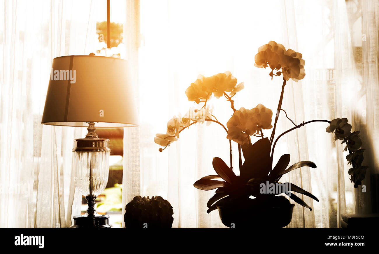 Color Silhouette Window Hi res Stock Photography And Images Alamy