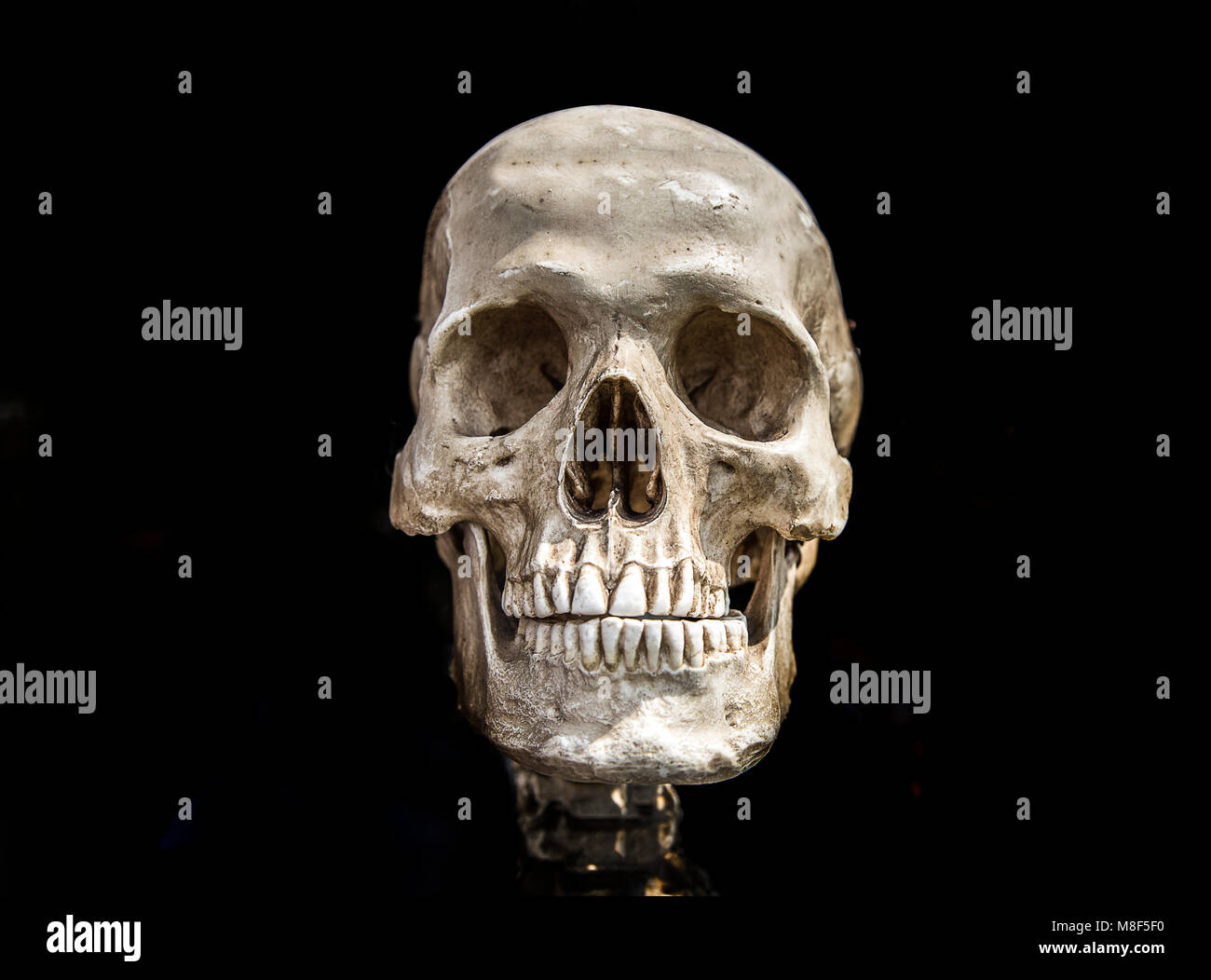 human scull on black isolate show history of human anatomy concept Stock Photo