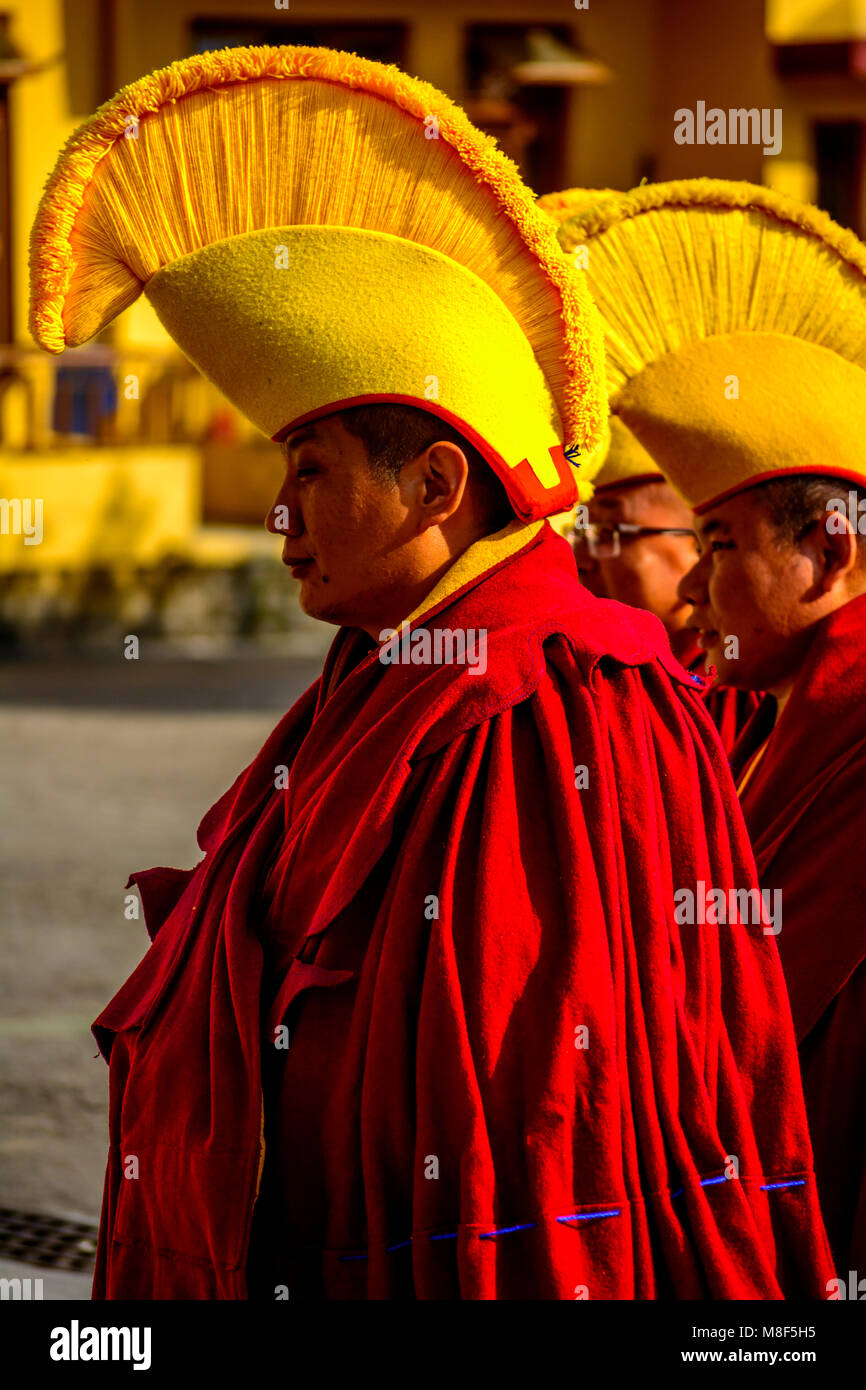 Tibetan Bhudhist Monk with Yellow Hat going for prayer, Gyuto Monastry, Dharmashala, Himachal pradesh, India Stock Photo