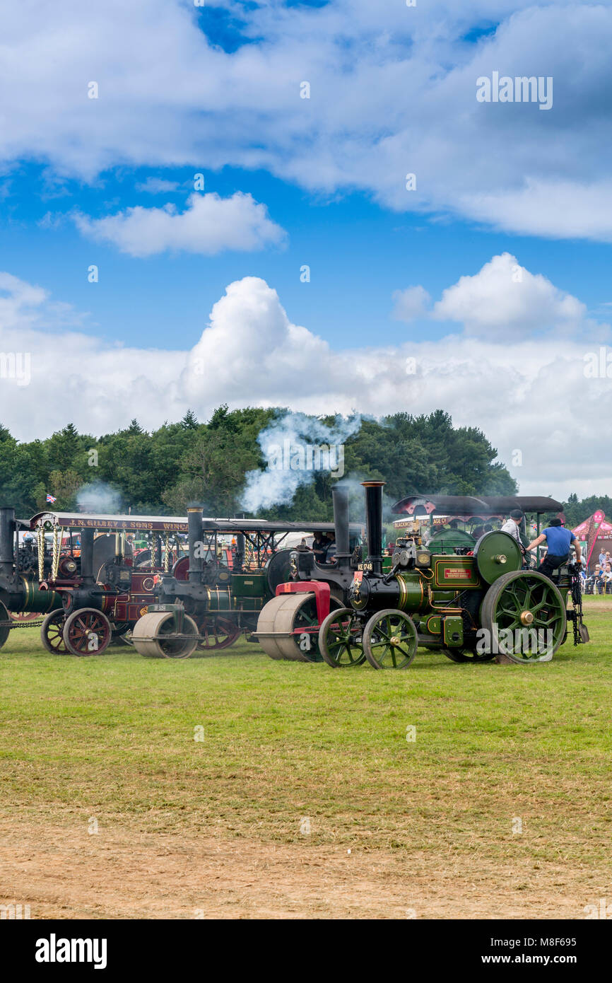A display of traction and showman's engines in the display ring at the 2017 Norton Fitzwarren Steam Rally, Somerset, England, UK Stock Photo