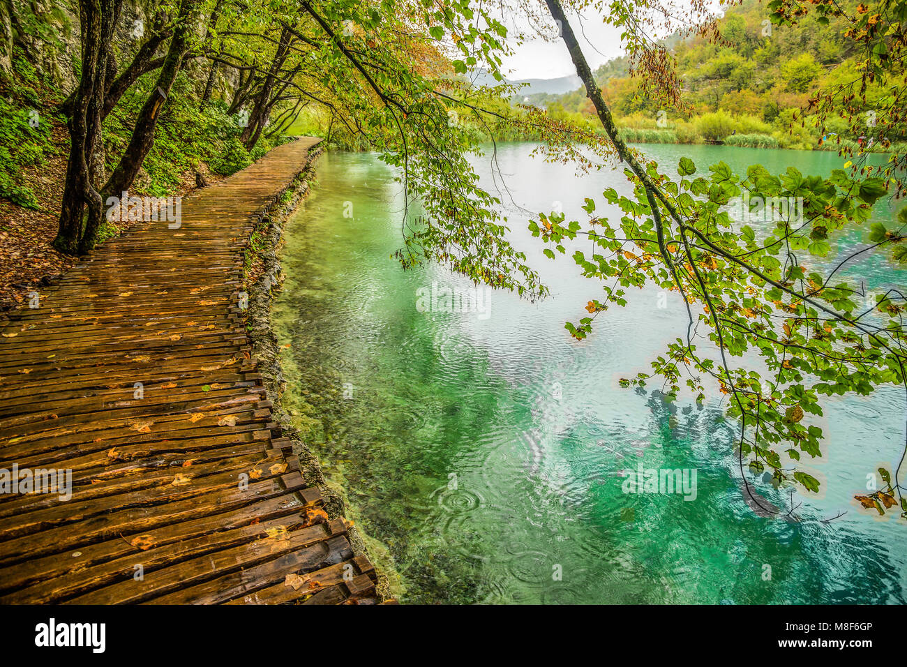 Deep forest stream. Crystal clear water. Plitvice lakes, Croatia Stock Photo