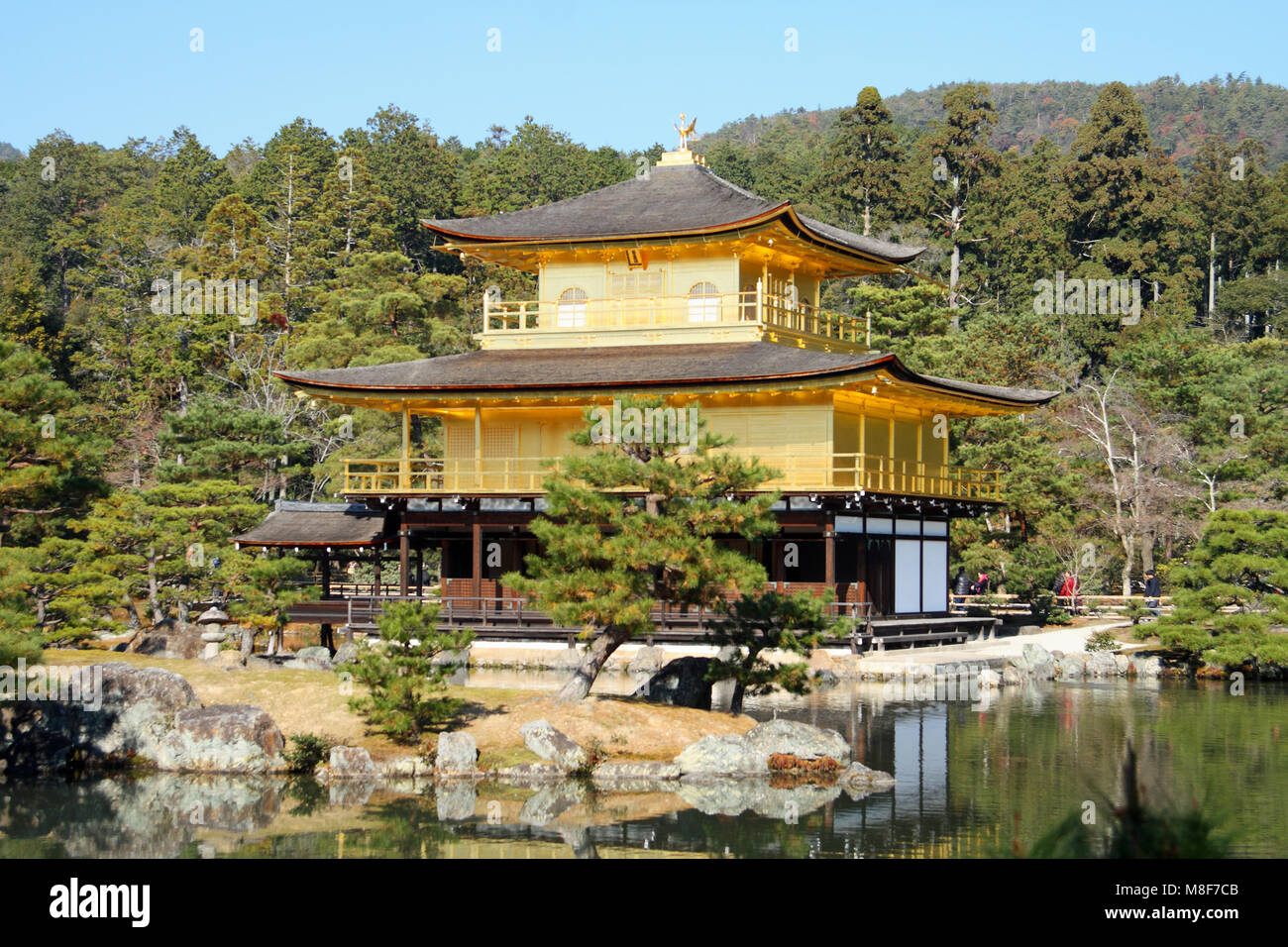 Kinkaku-ji (Temple of the Golden Pavilion), Kyoto, Honshu, Japan Stock Photo