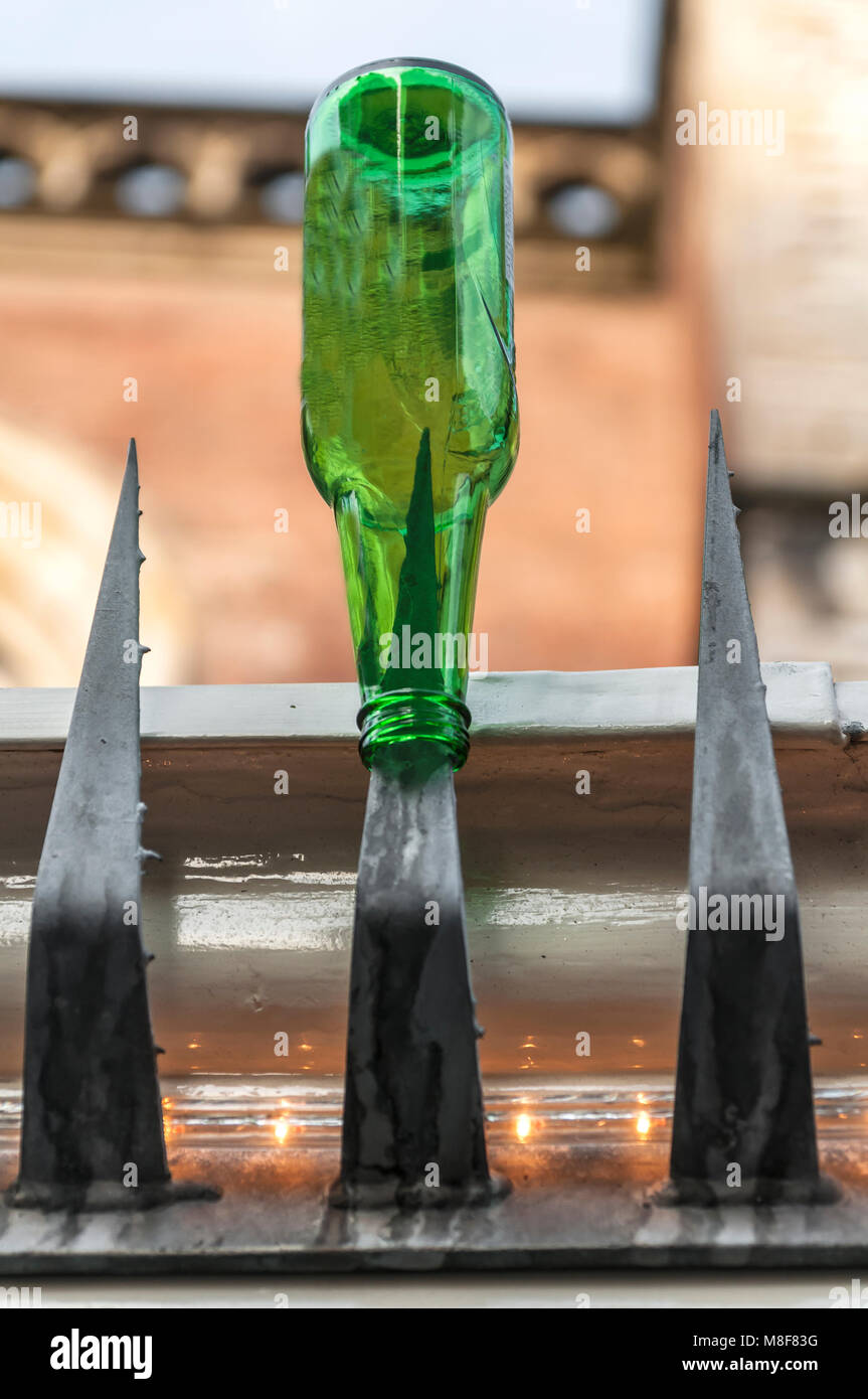 empty green bottle of beer fixed on a point of a fence Stock Photo