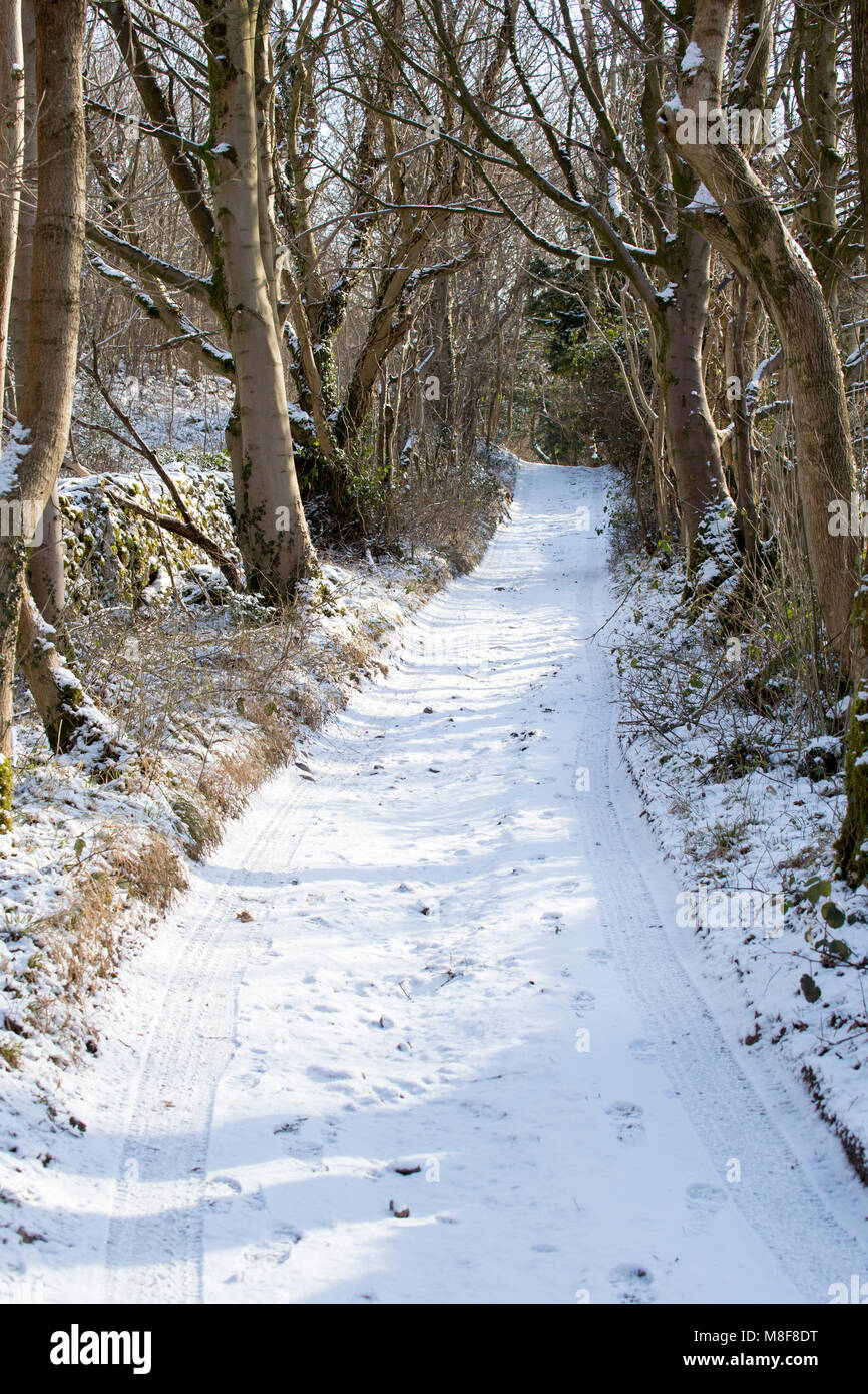 Occupation lane warton crag lancashire hires stock photography and