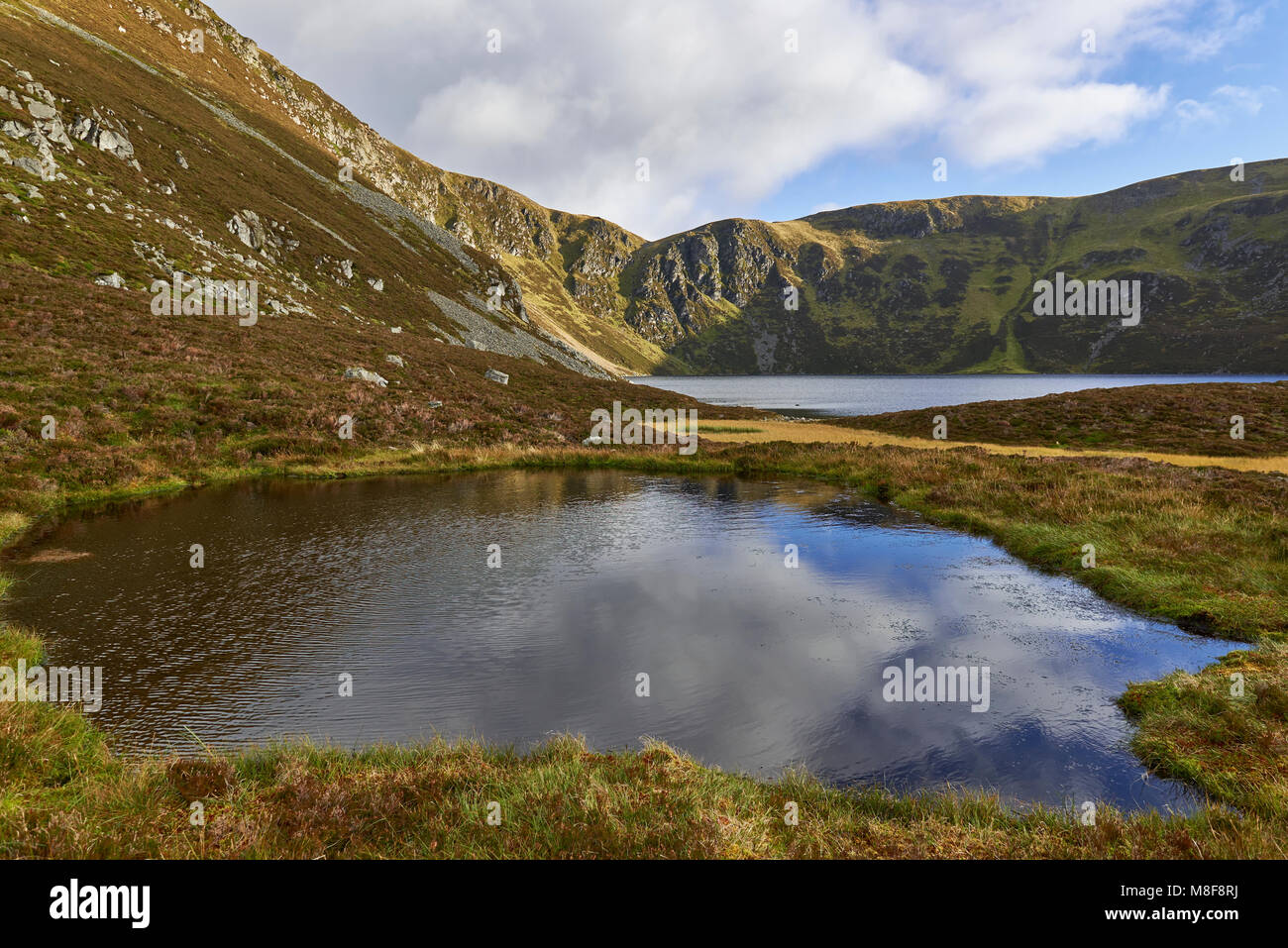 Looking past a small Pond and on towards Green Hill and Loch Brandy, situated in Glen Clova in the Angus Glens of Scotland. Stock Photo