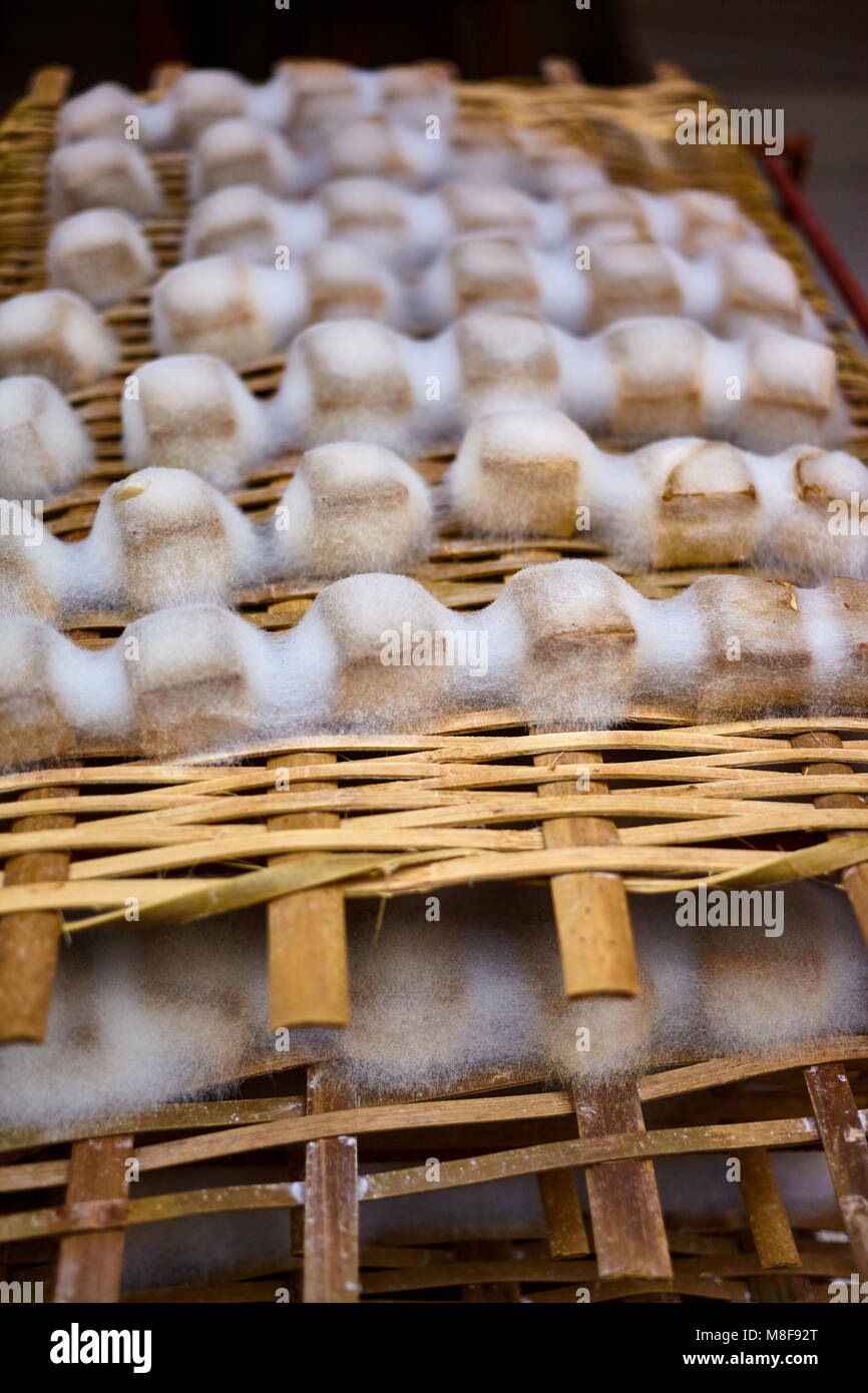 Mould Tofu Chinese Cheese Stock Photo Alamy