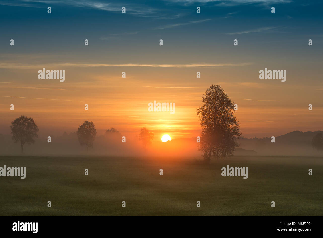 First rays of the sun over foggy field in countryside Stock Photo