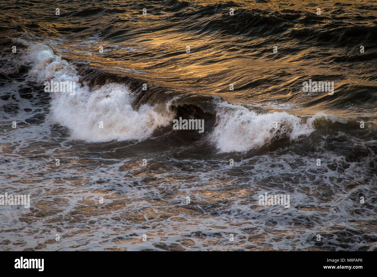 An aerial view of surf waves at a pebble beach in the evening sun Stock Photo