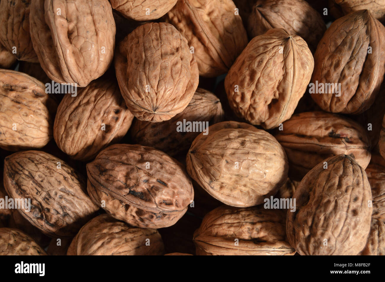background with walnuts in shell Stock Photo