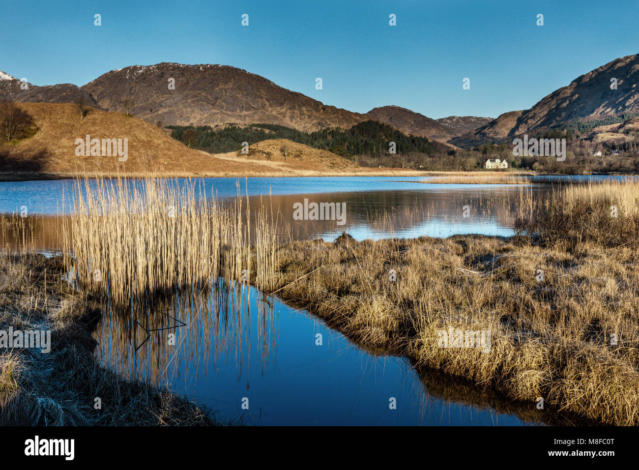 Loch Shiel in early morning from near Glenfinnan Monument, Glenfinnan, Lochabar, Scottish Highlands, Scotland, UK Stock Photo