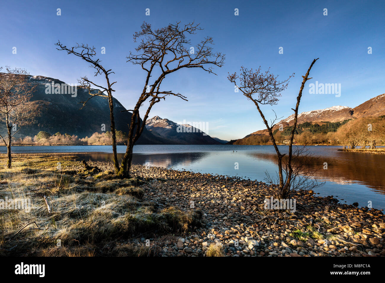 Loch Shiel in early morning from near Glenfinnan Monument, Glenfinnan, Lochabar, Scottish Highlands, Scotland, UK Stock Photo