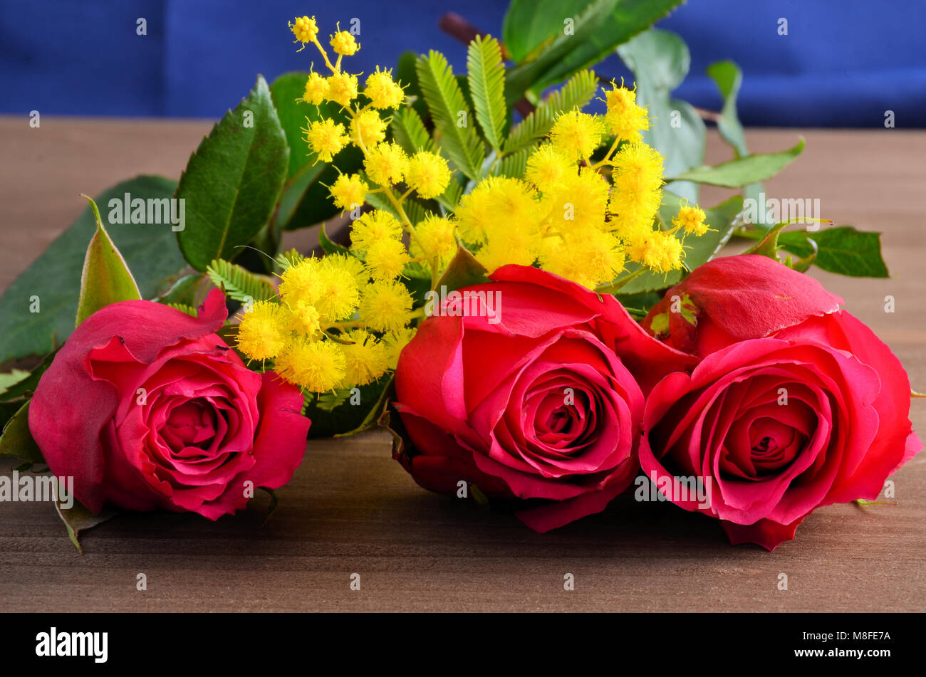 Three red roses against a brown background with yellow mimosa Stock Photo -  Alamy